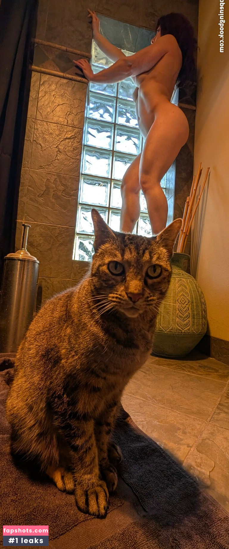 kitty_bit_games gallery photo #19