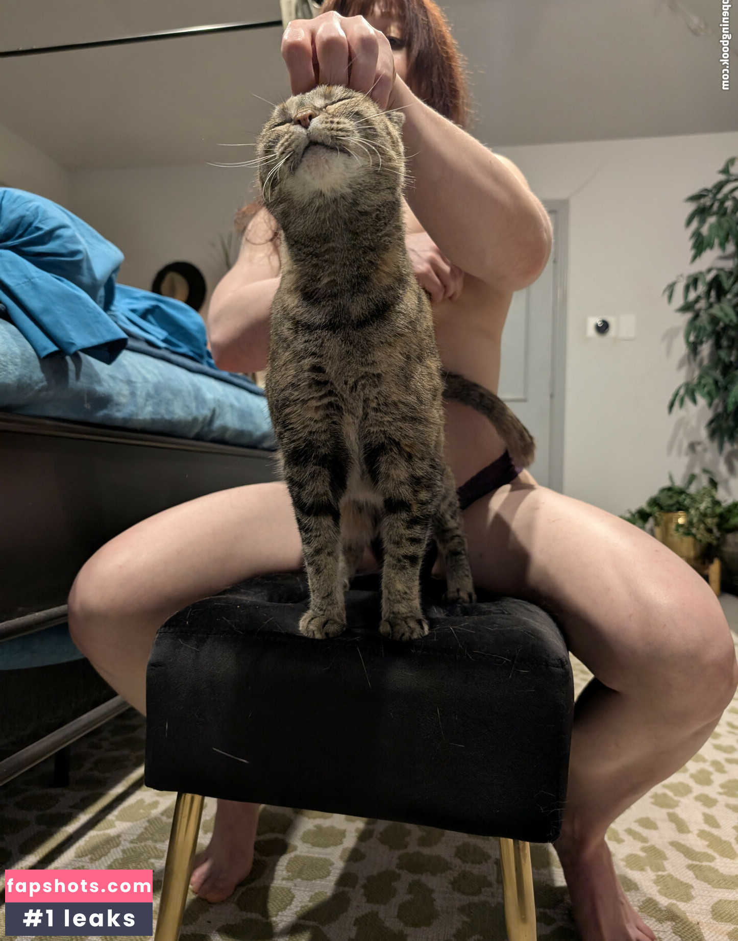 kitty_bit_games gallery photo #27