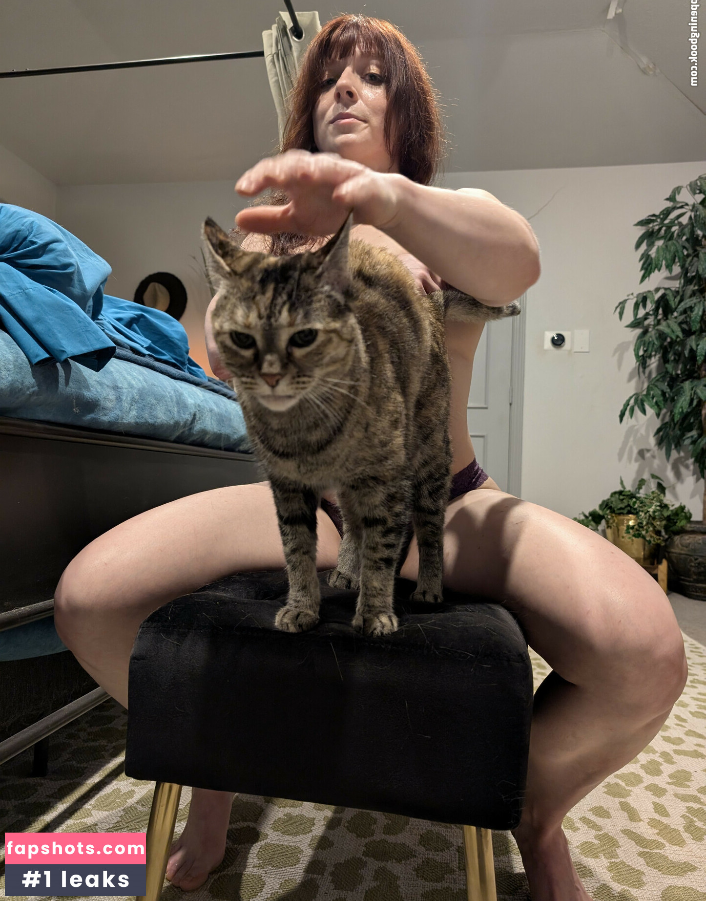 kitty_bit_games gallery photo #28