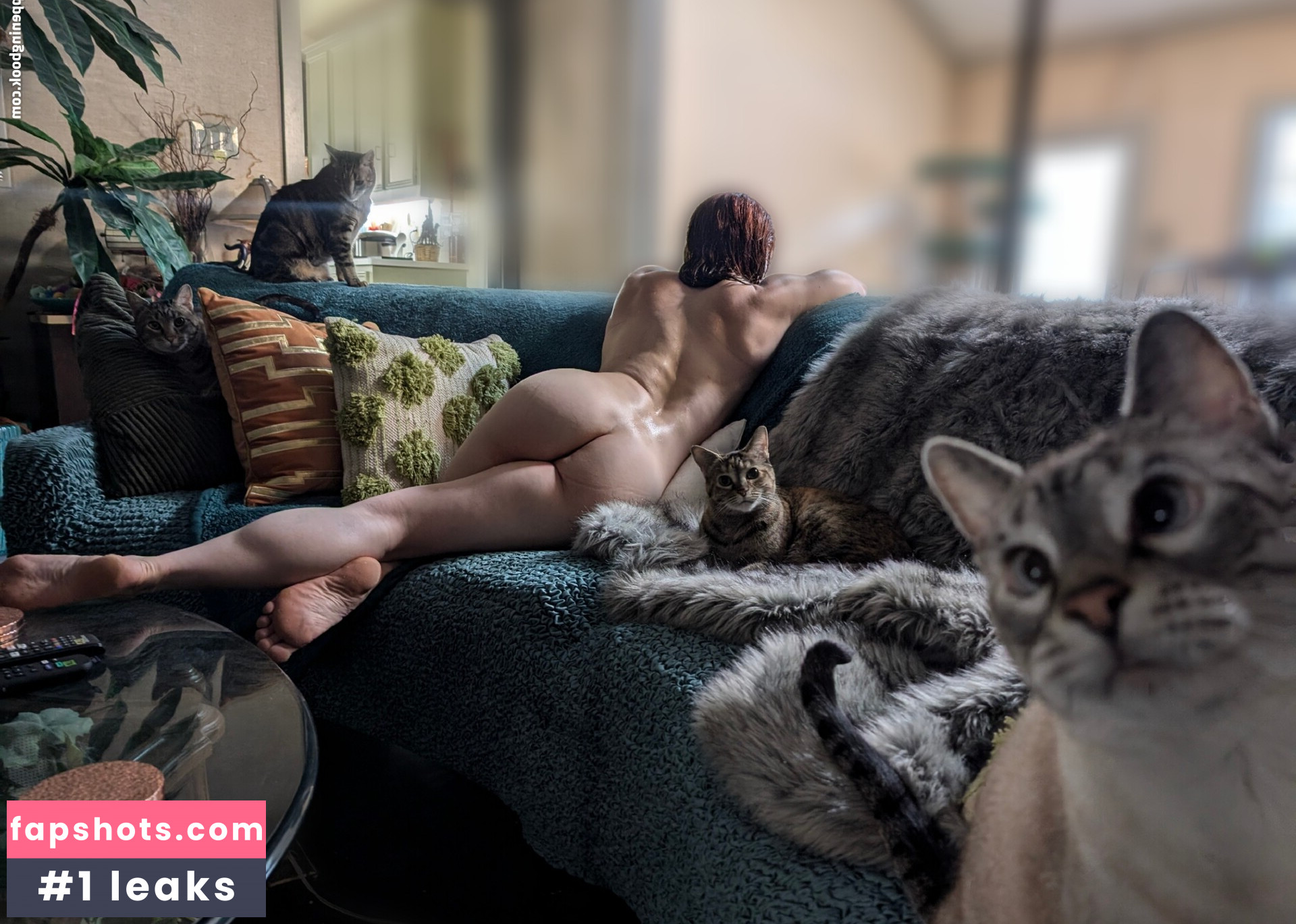 kitty_bit_games gallery photo #56