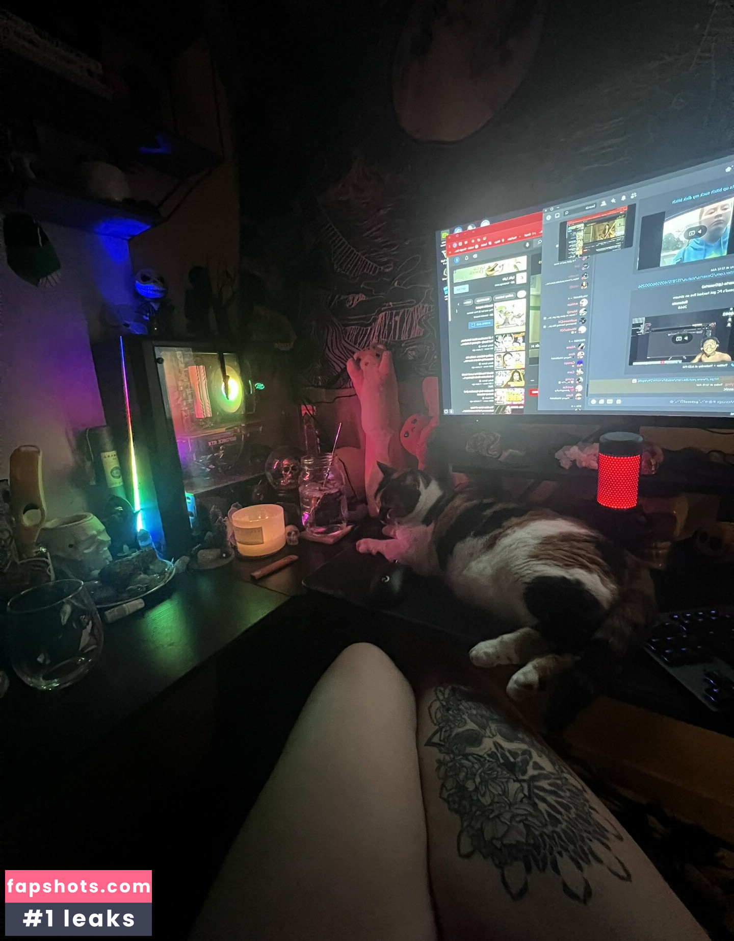 Kitty Titty gallery photo #13