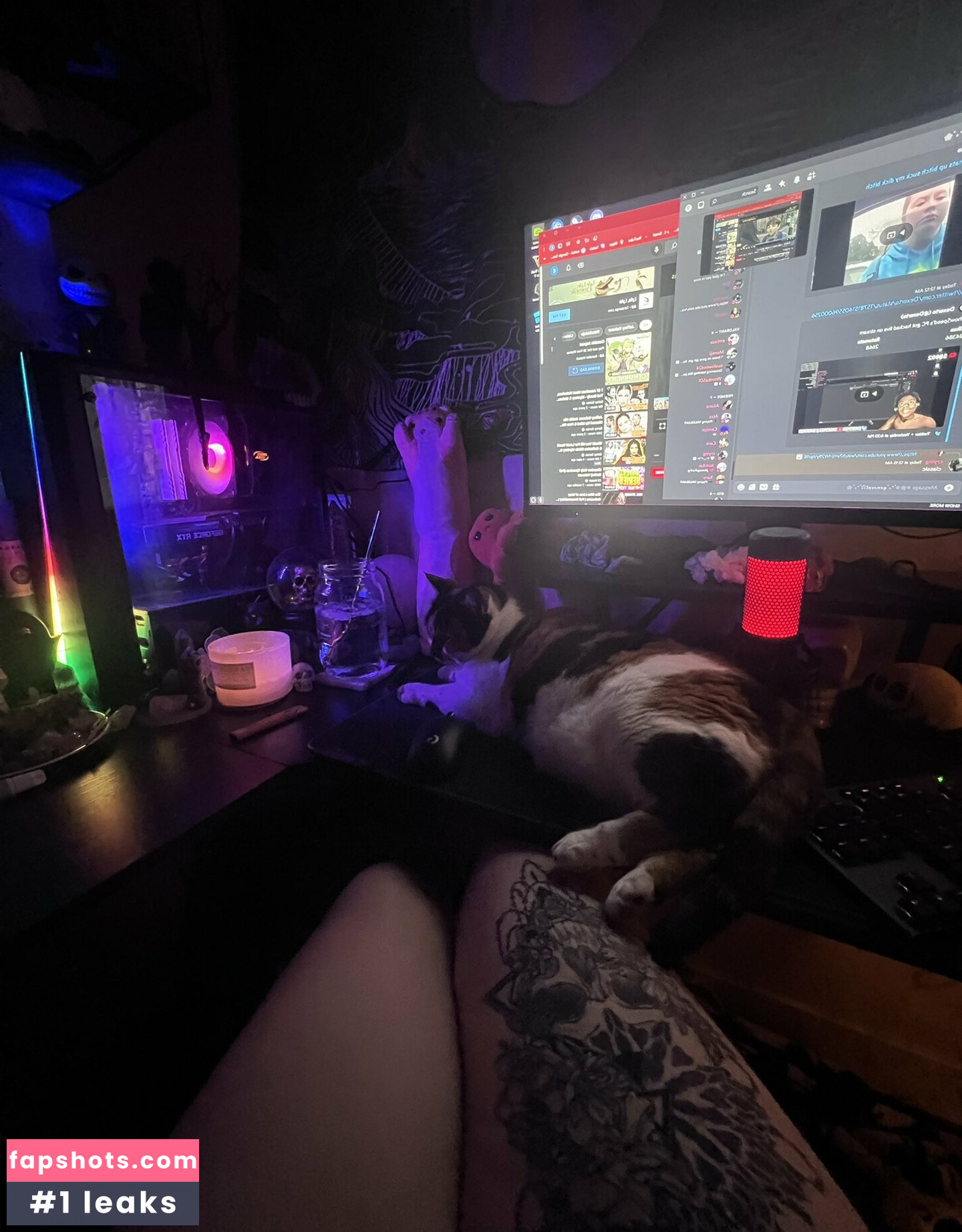 Kitty Titty gallery photo #8