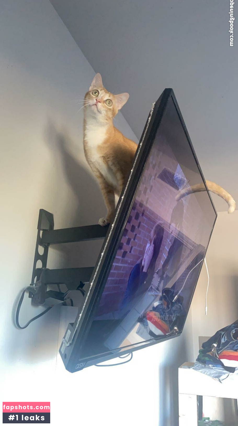 kittycumquat Filtración Desnuda OnlyFans Foto #33 - Fapshots