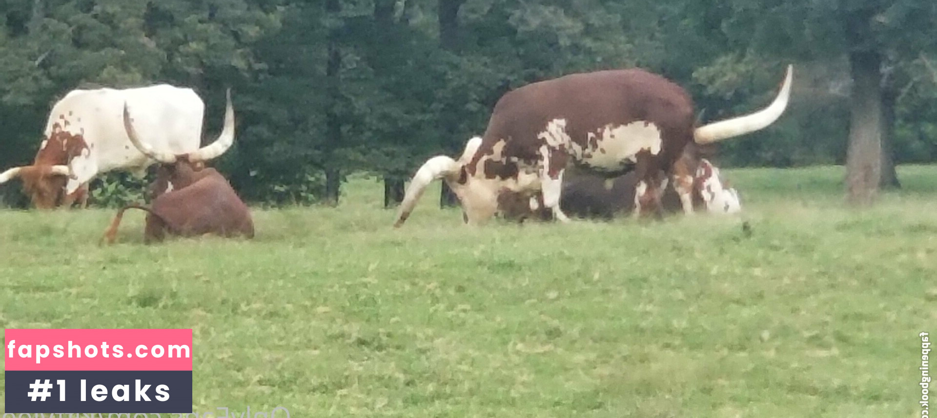 kittylee Filtración Desnuda OnlyFans Foto #21 - Fapshots