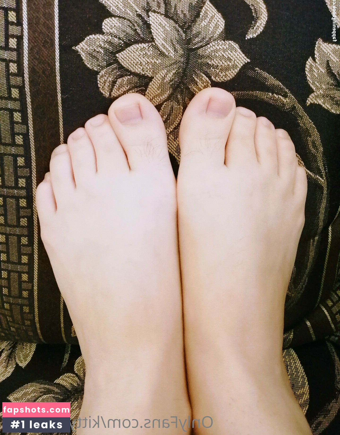 kittypaws667 Nude Leaks OnlyFans Photos #2 - LeakJerk