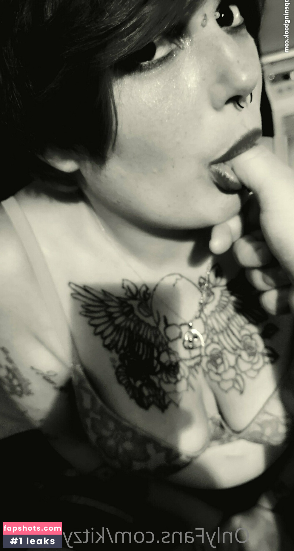 kitzyvixxen gallery photo #3