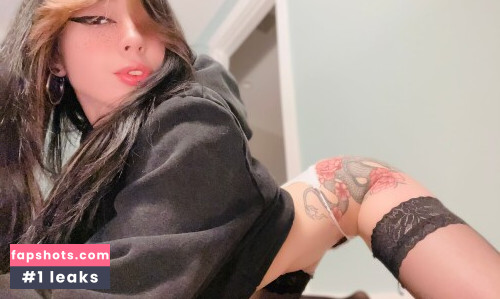 Kiwi Sunset gallery photo #1329