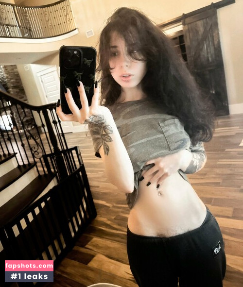 Kiwi Sunset gallery photo #919