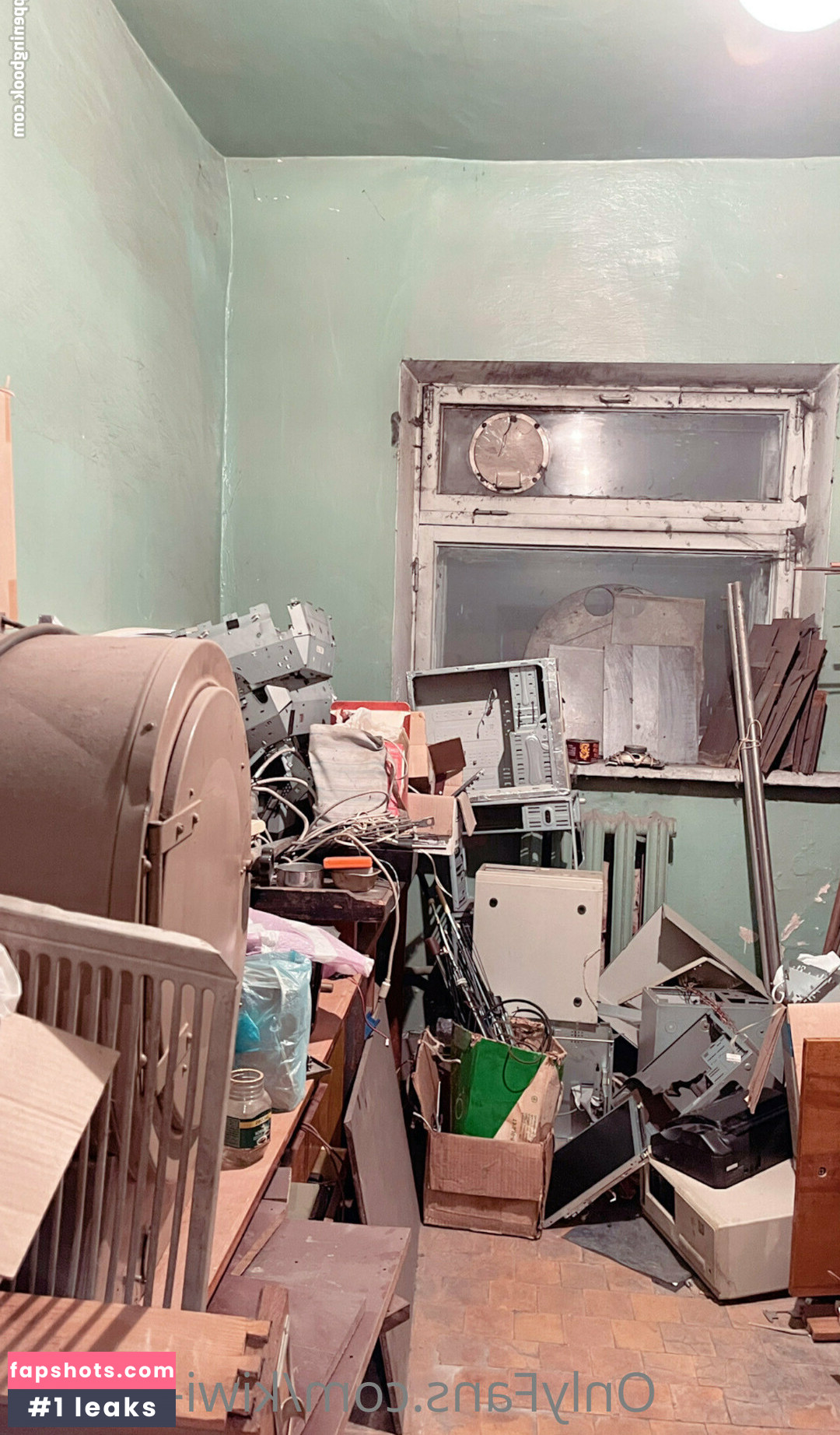 kiwi-y-coco Nude Leaks OnlyFans Photos #17 - LeakJerk