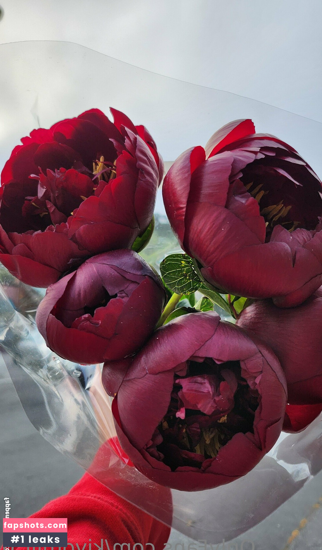 kiyomiii_0 gallery photo #119