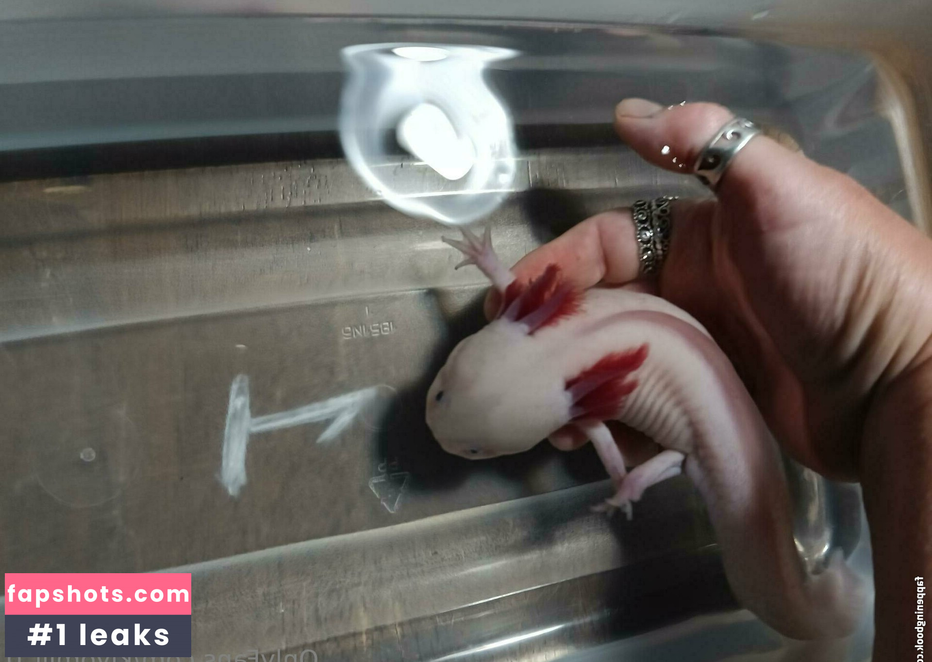 kiyomiii_0 gallery photo #48