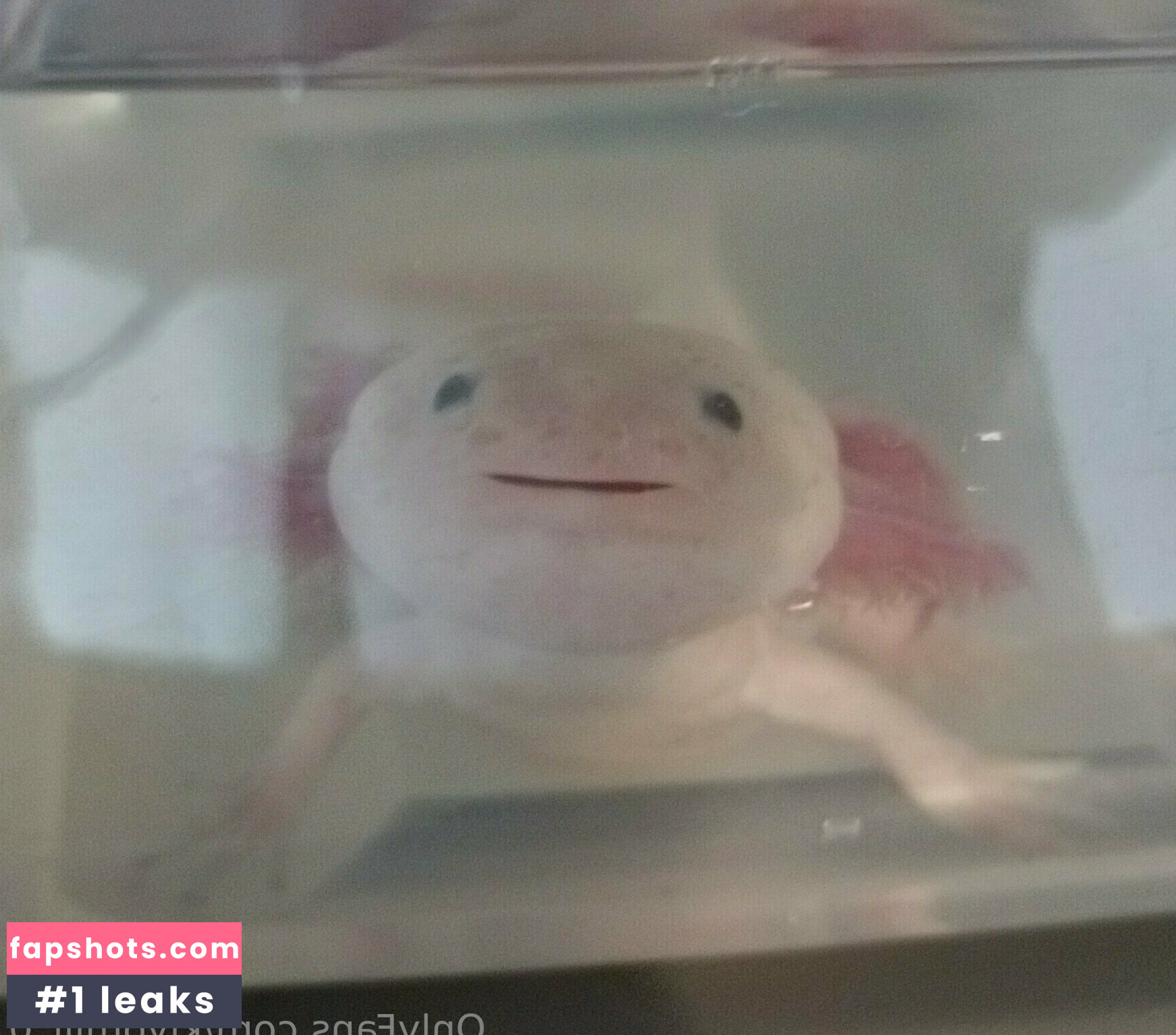 kiyomiii_0 gallery photo #59