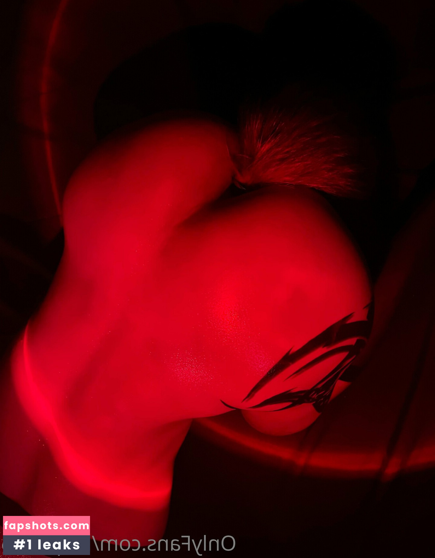 kmp5656 gallery photo #53