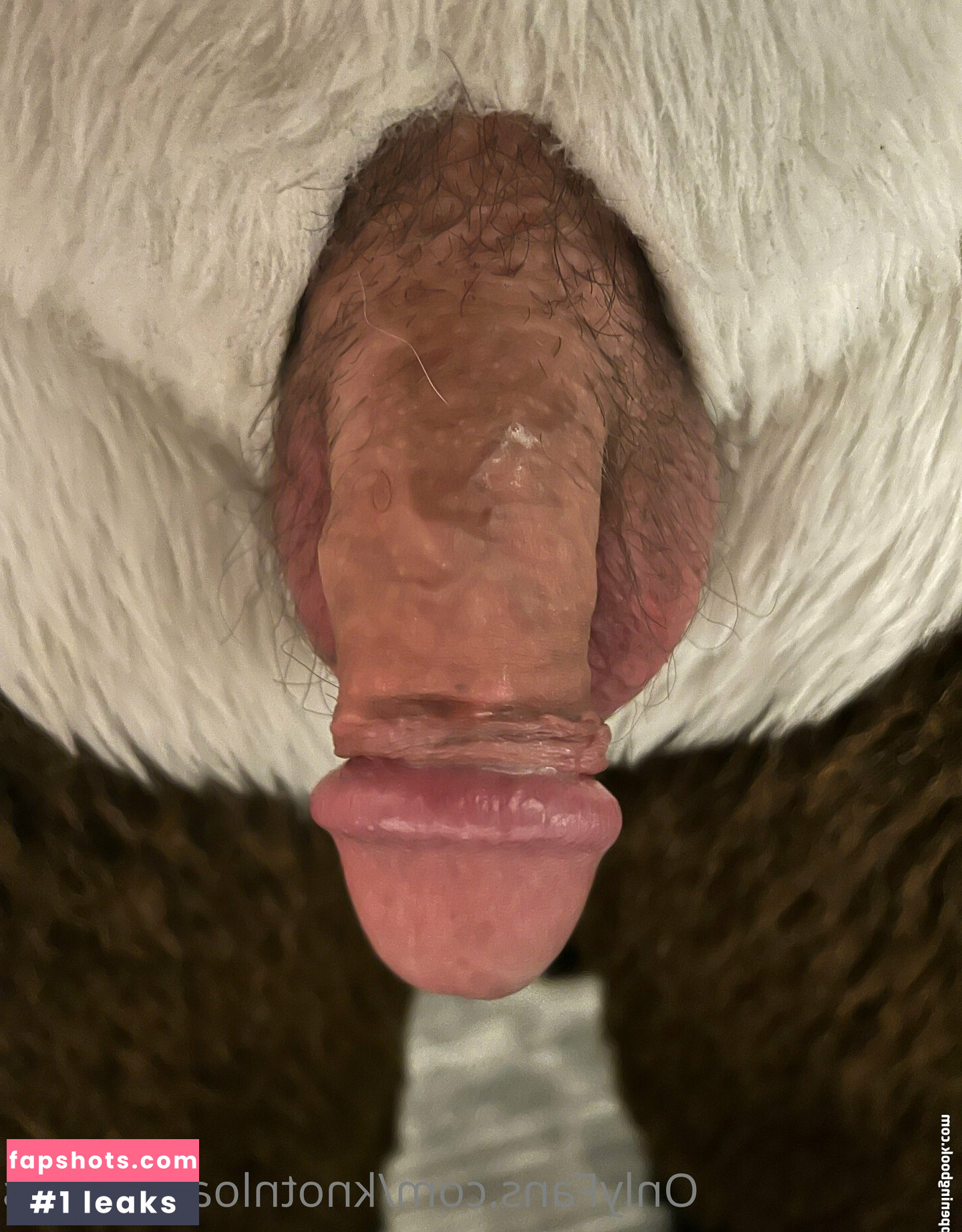 knotnloadstudios gallery photo #13