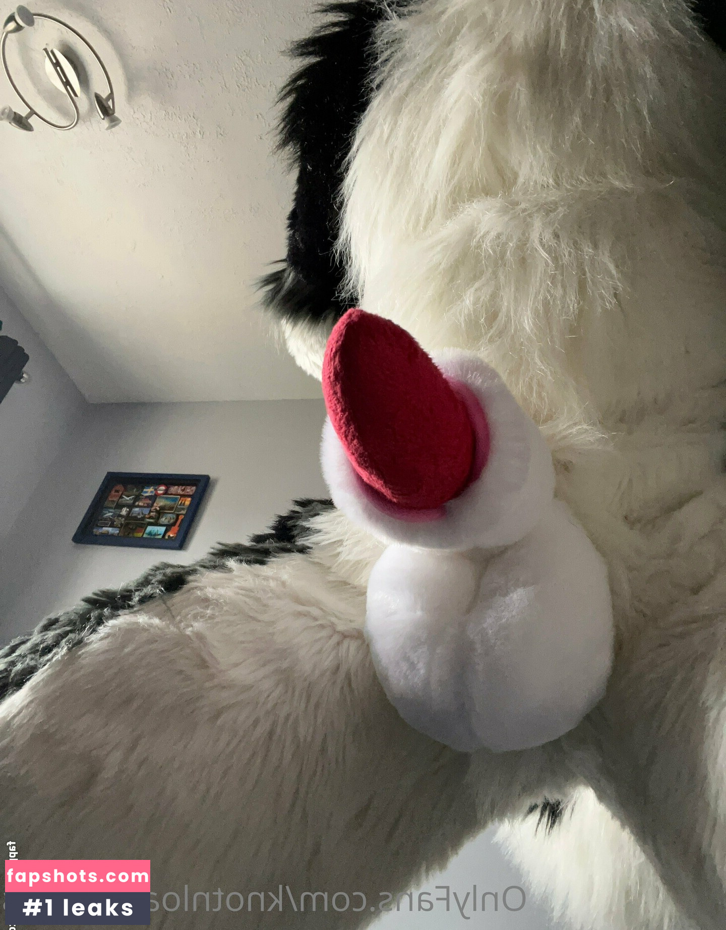 knotnloadstudios gallery photo #19