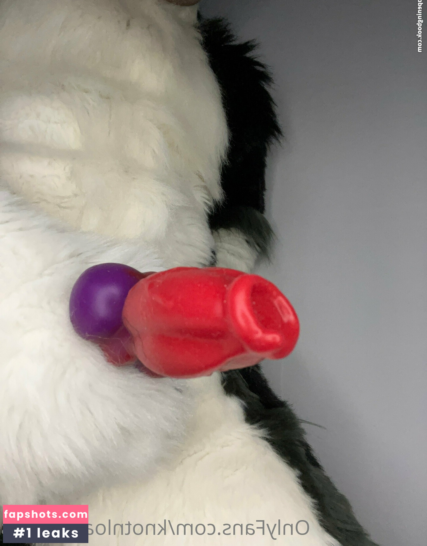 knotnloadstudios gallery photo #24