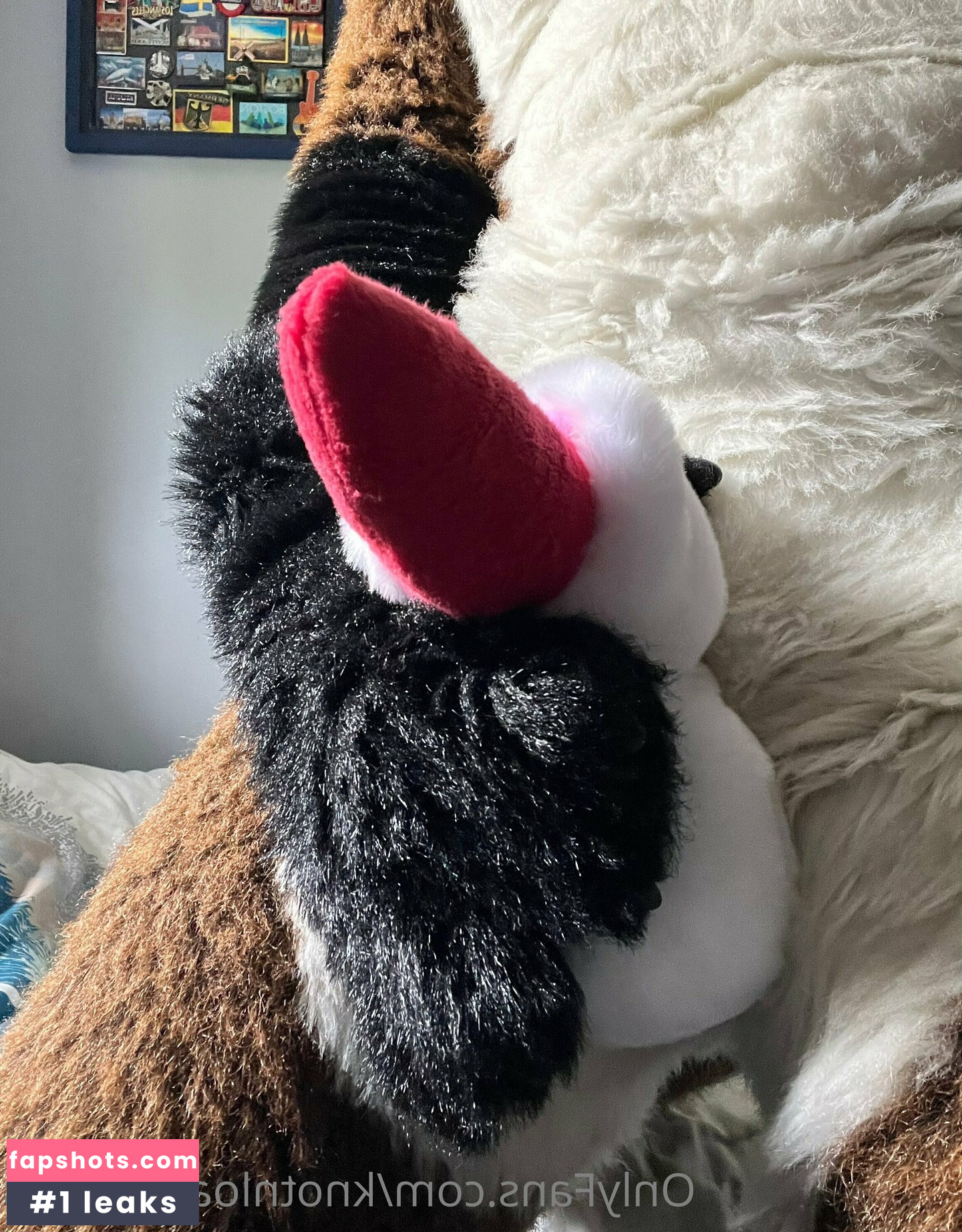 knotnloadstudios gallery photo #27