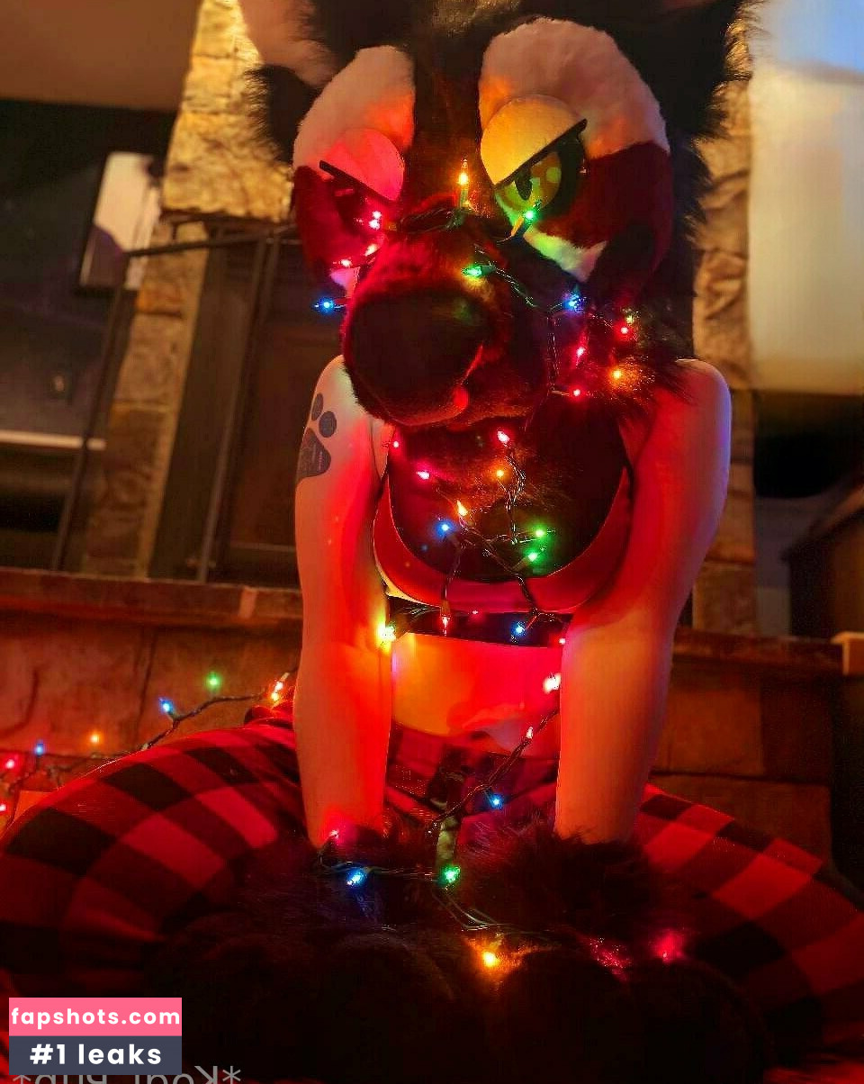 Kodi_pup gallery photo #22