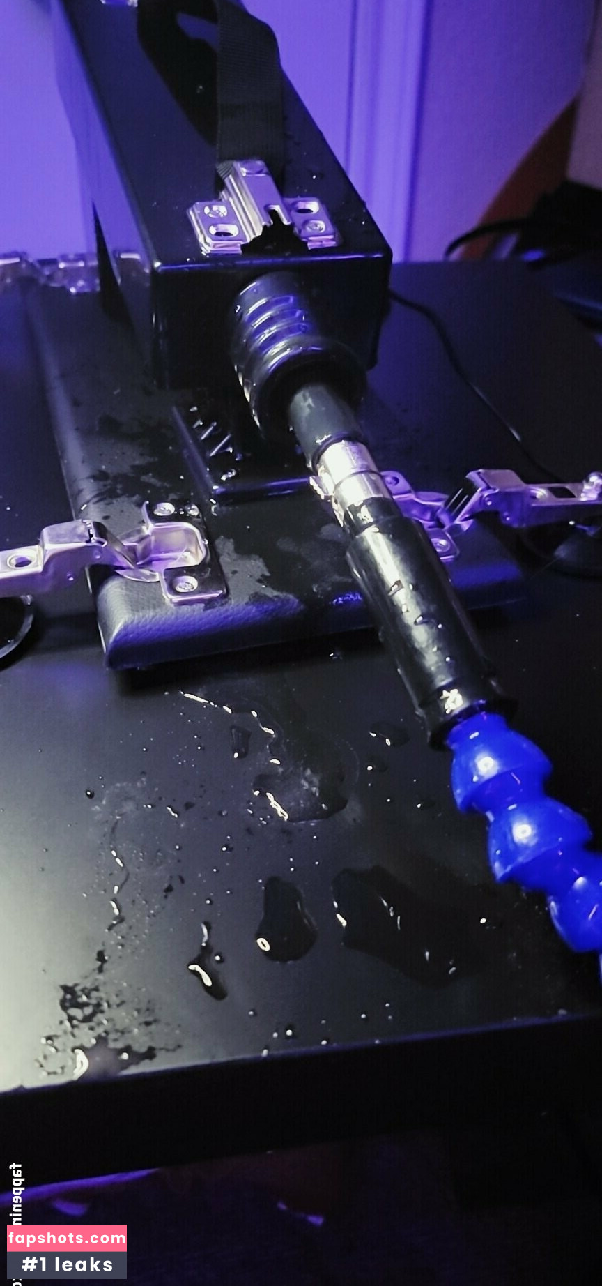 kodi_salem gallery photo #35