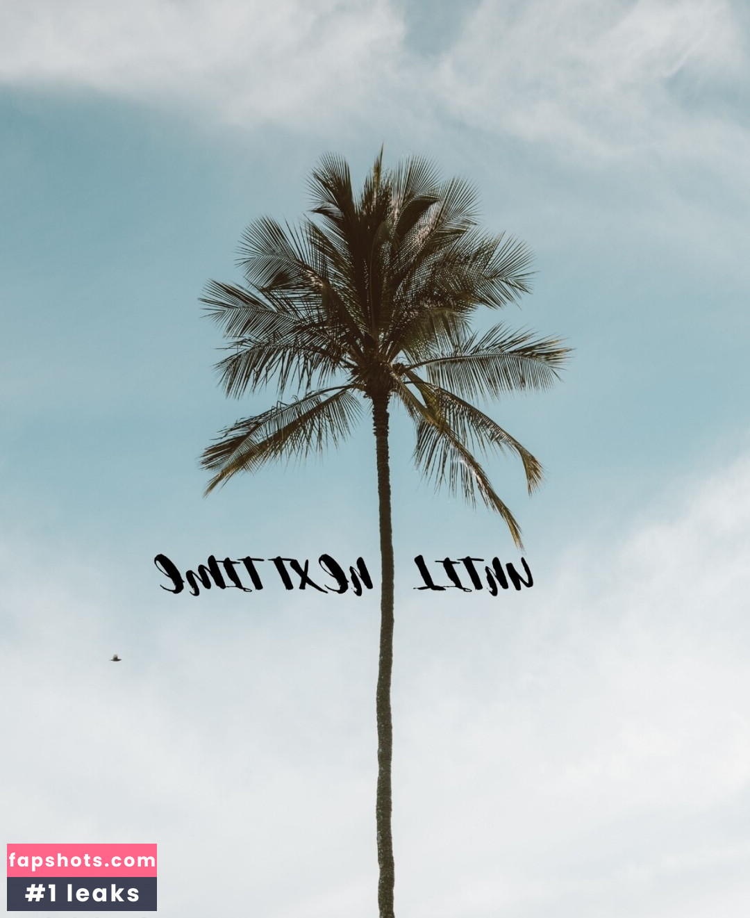 Koko Angel Ilsanker gallery photo #18