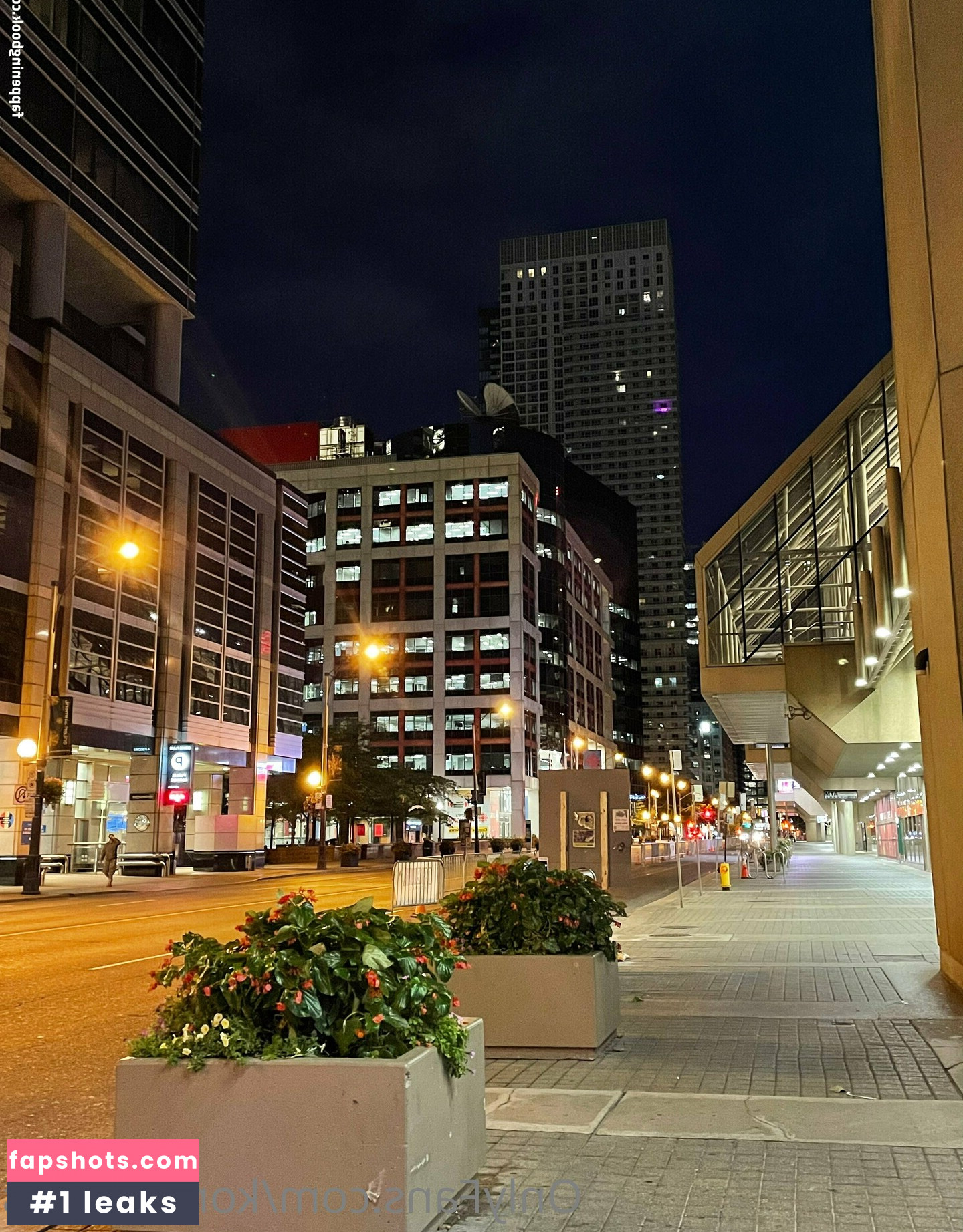 konekofixations gallery photo #46