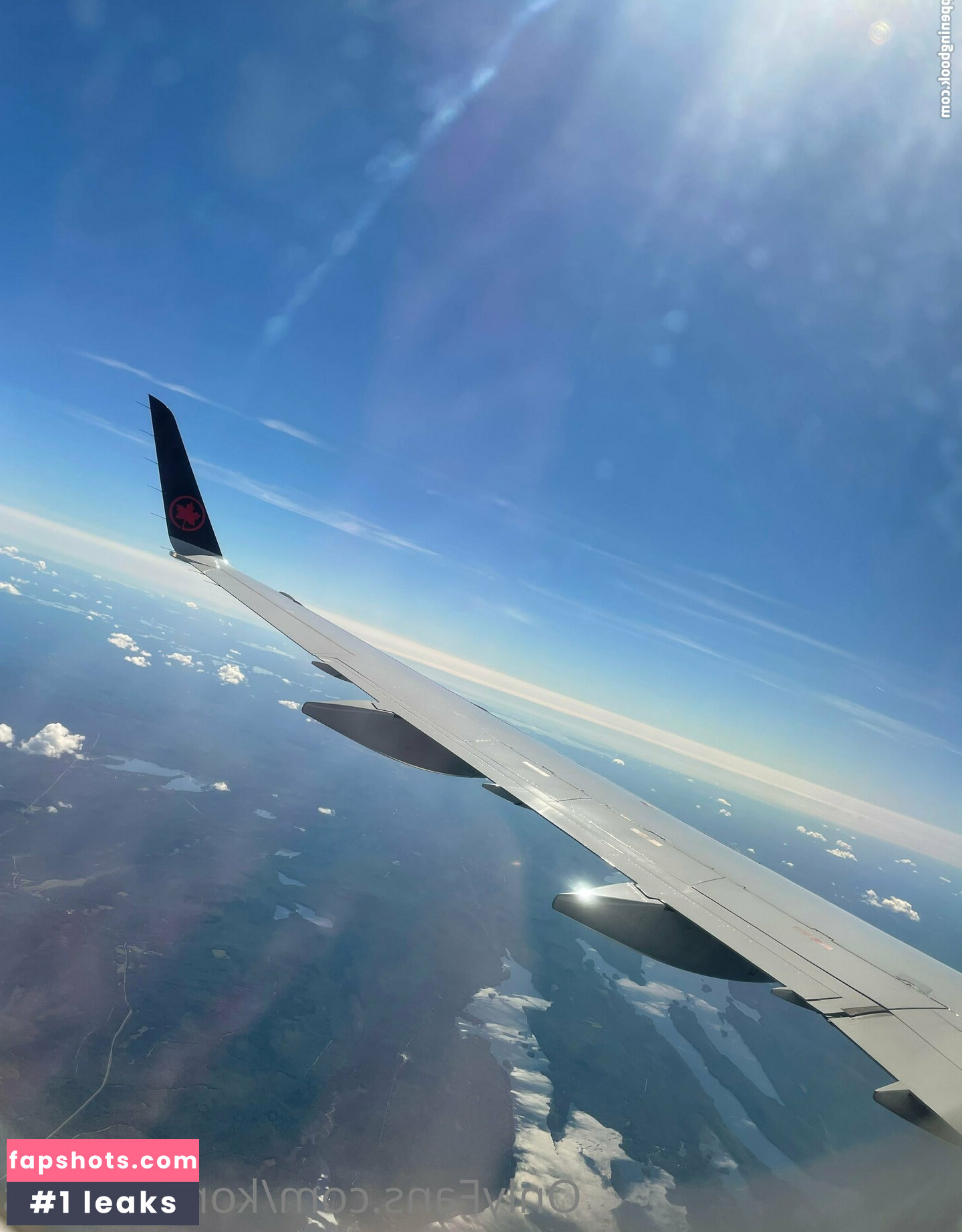 konekofixations gallery photo #48