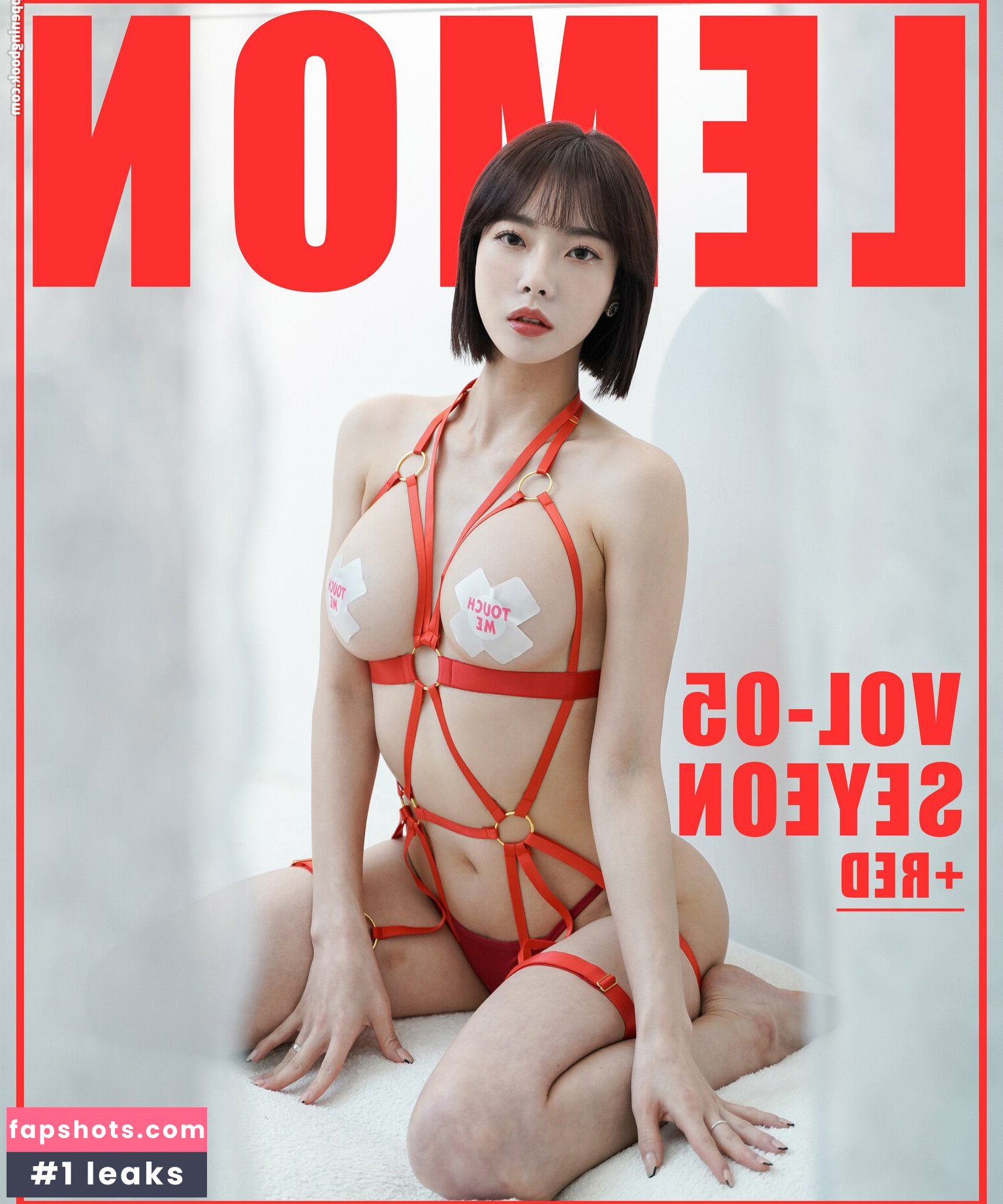 Korean Gravures gallery photo #385
