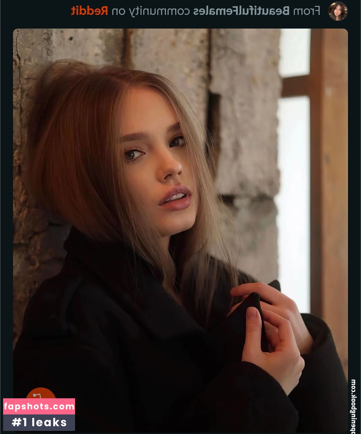 Kotaro gallery photo #63