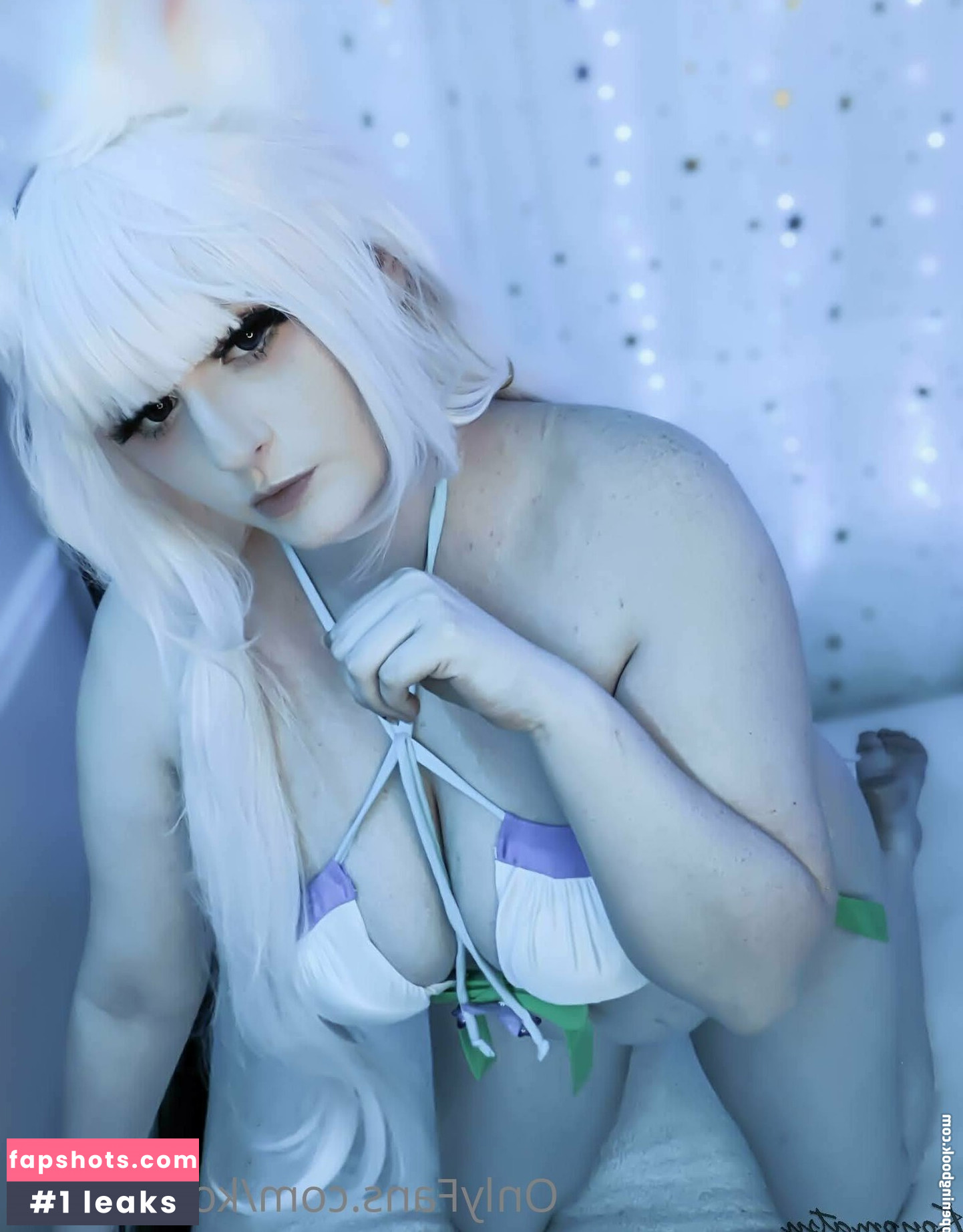 Koyomatsu gallery photo #158