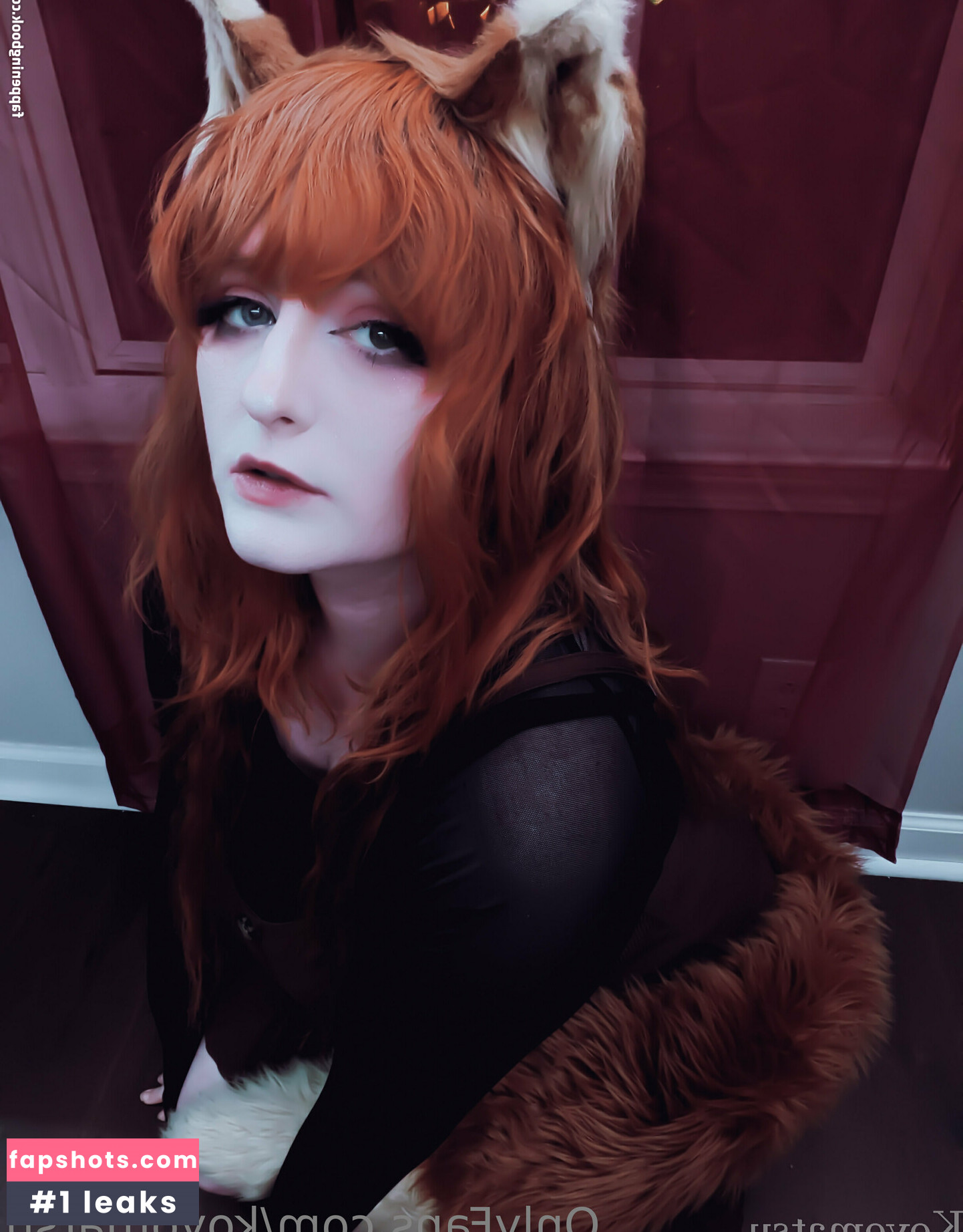 Koyomatsu gallery photo #31