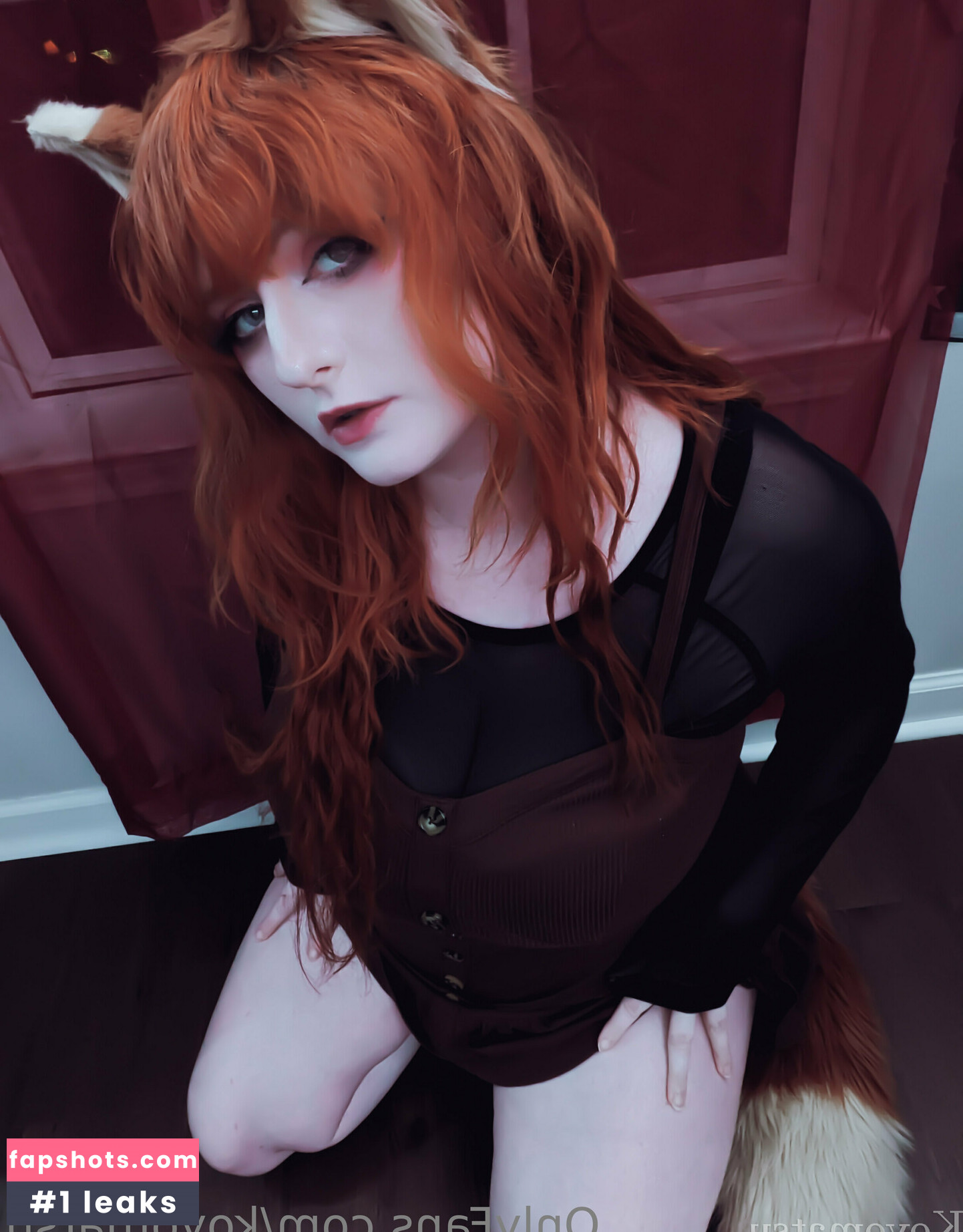 Koyomatsu gallery photo #34