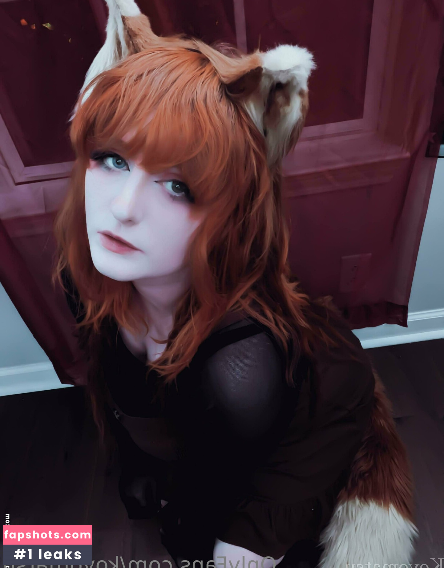 Koyomatsu gallery photo #42