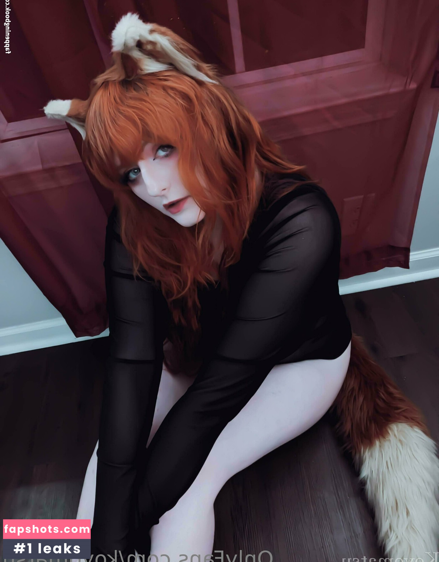 Koyomatsu gallery photo #44