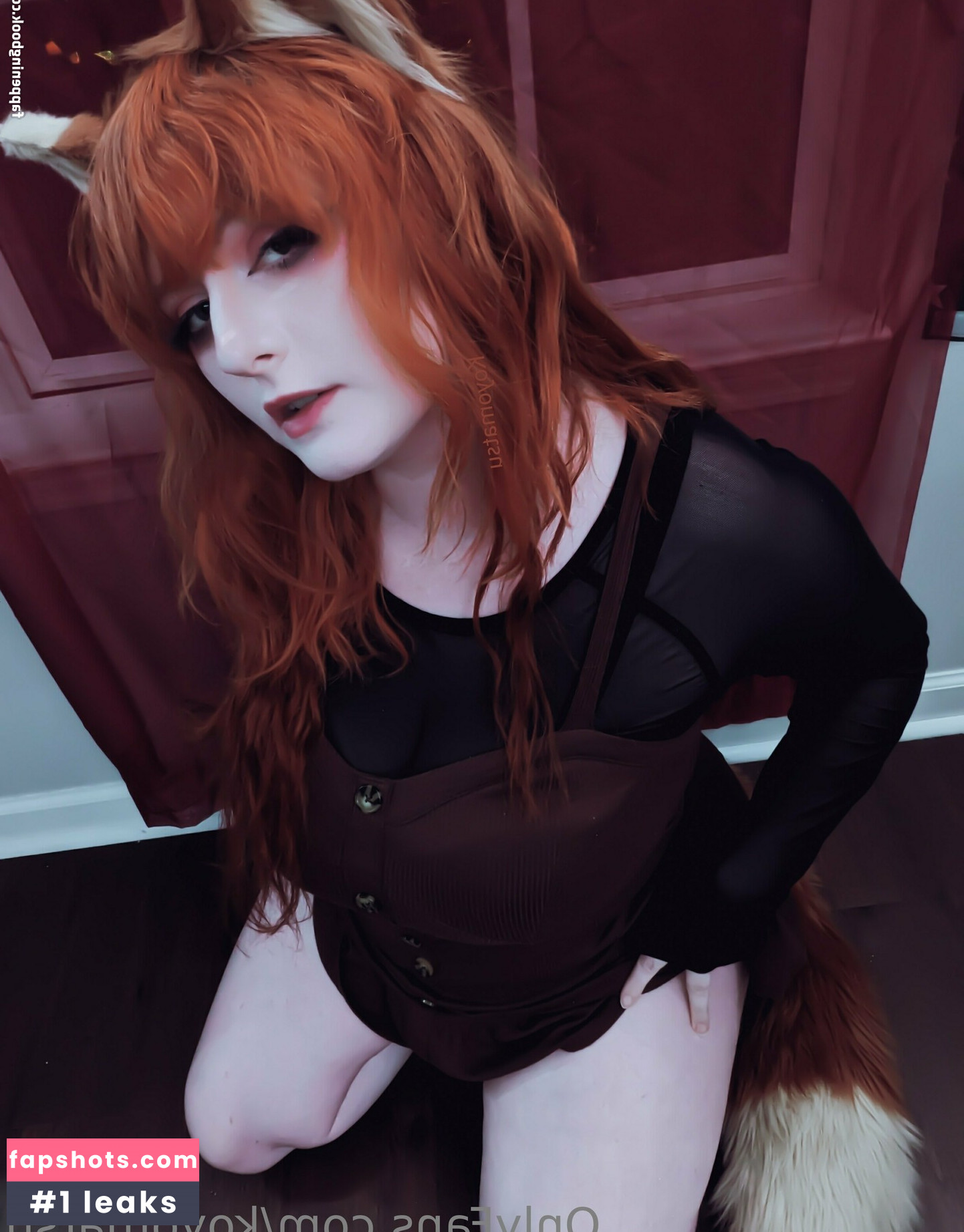 Koyomatsu gallery photo #47