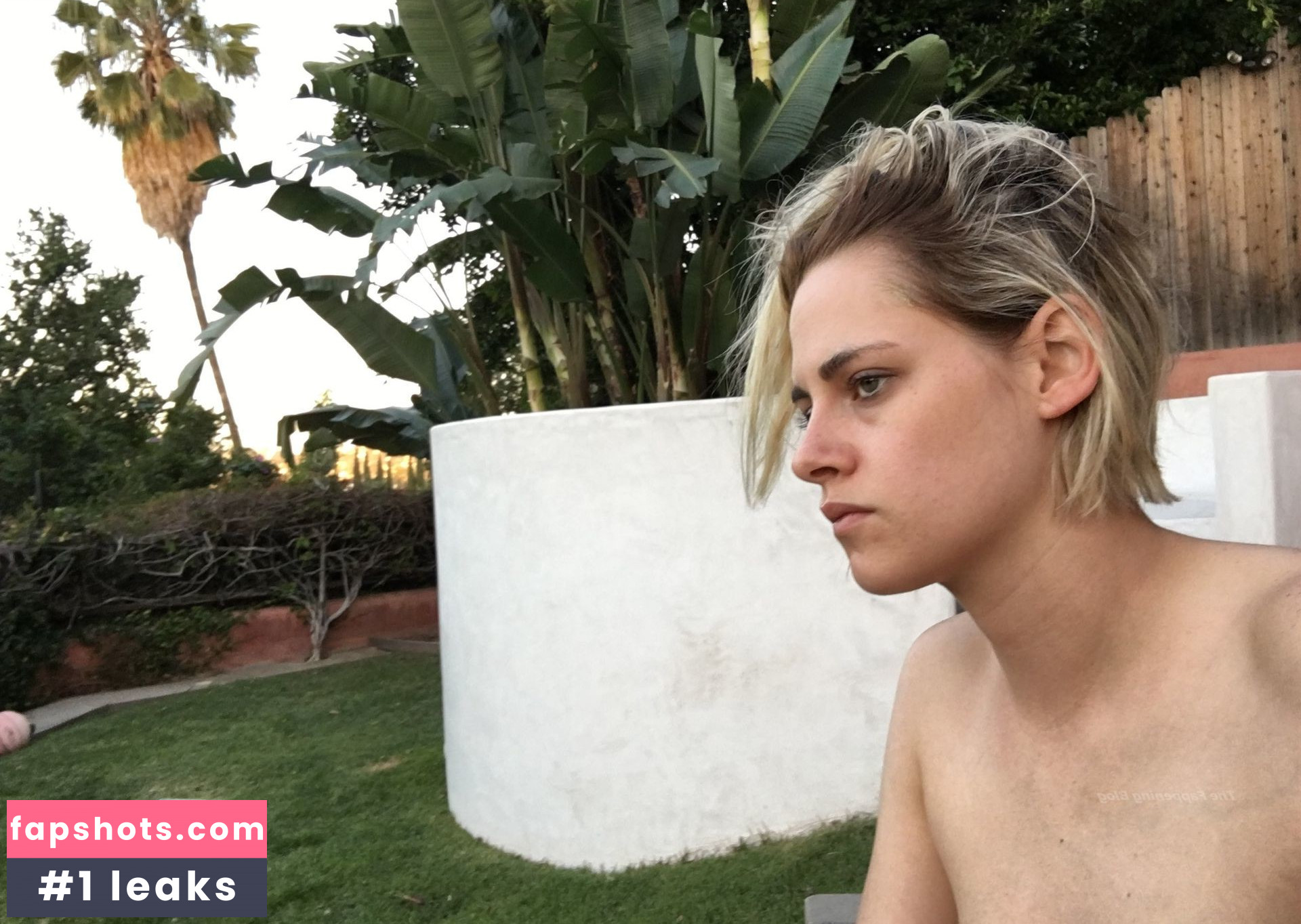 Kristen Stewart gallery photo #2146