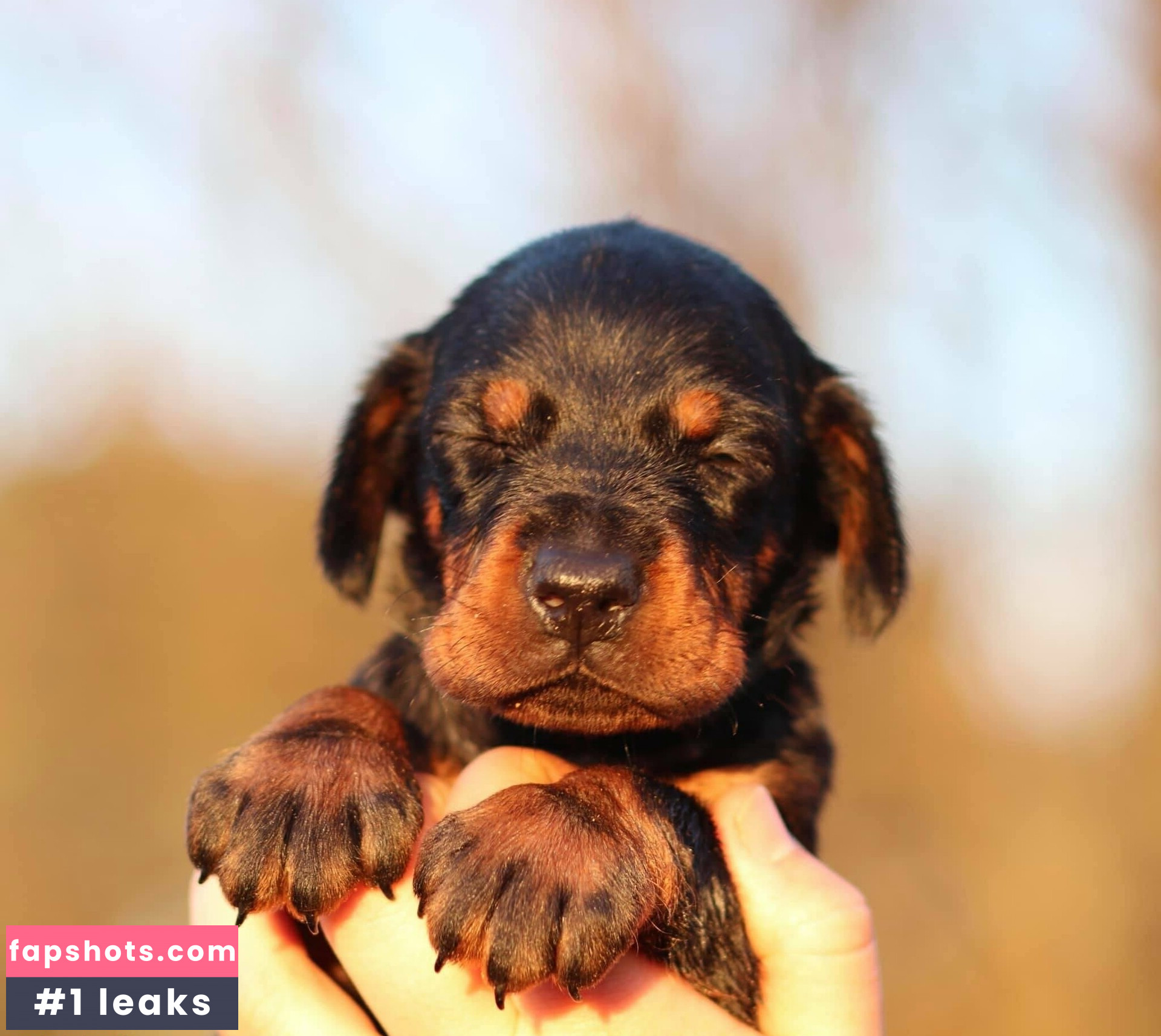 kristenhughey gallery photo #8