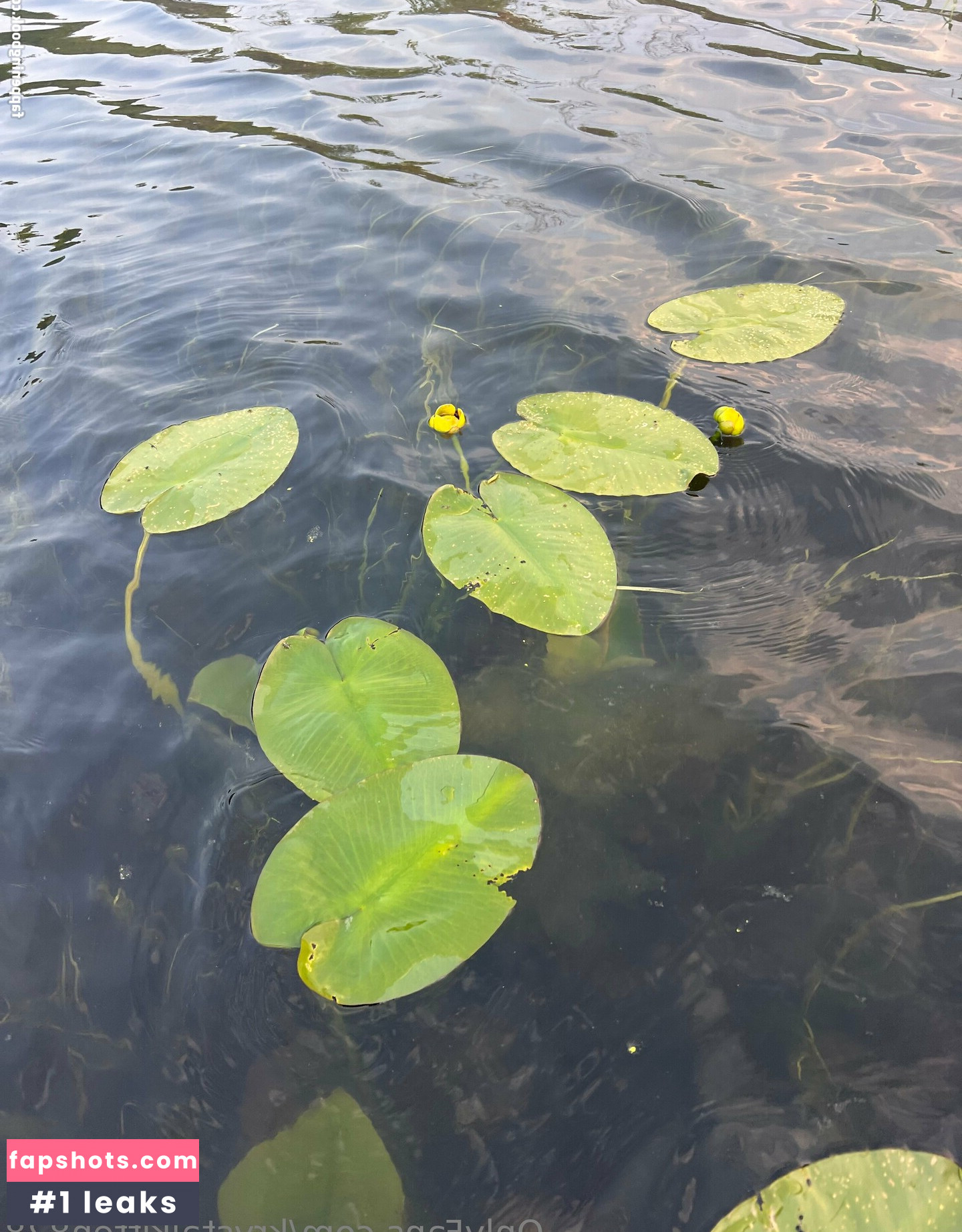 krystalkitten828 gallery photo #17