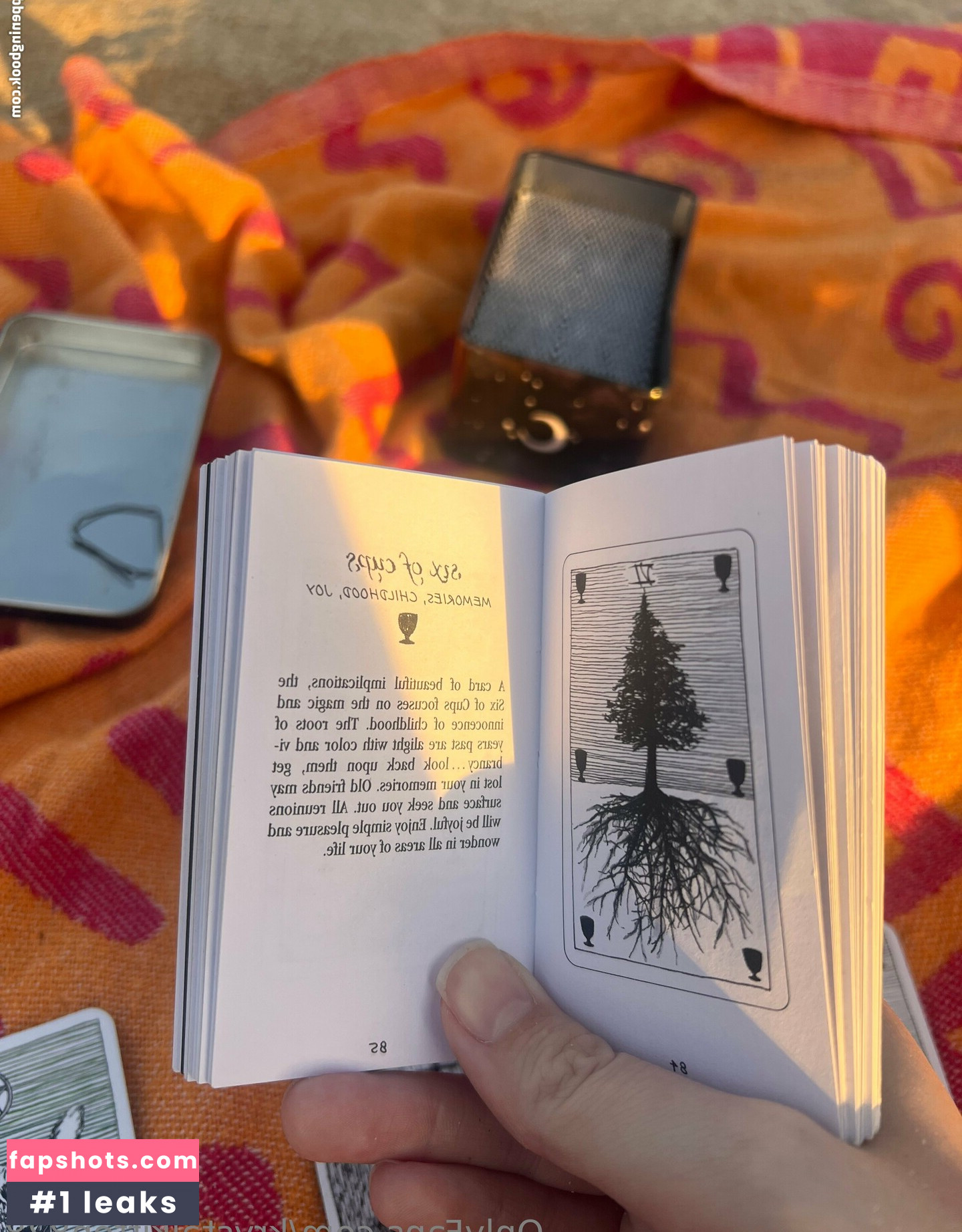 krystalkitten828 gallery photo #10