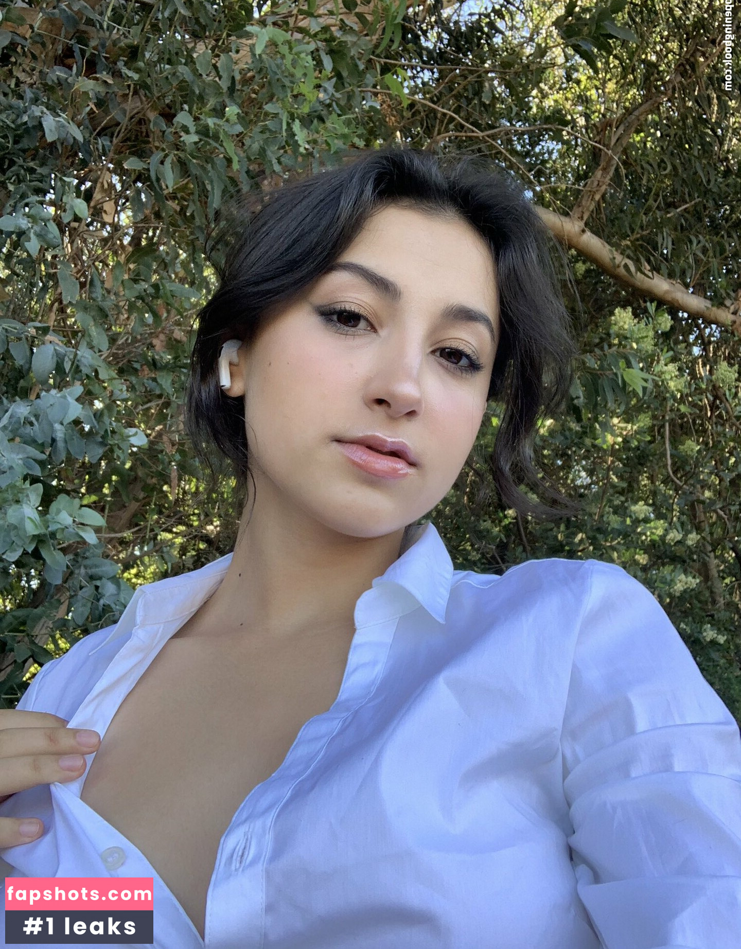 kungfushoe gallery photo #15