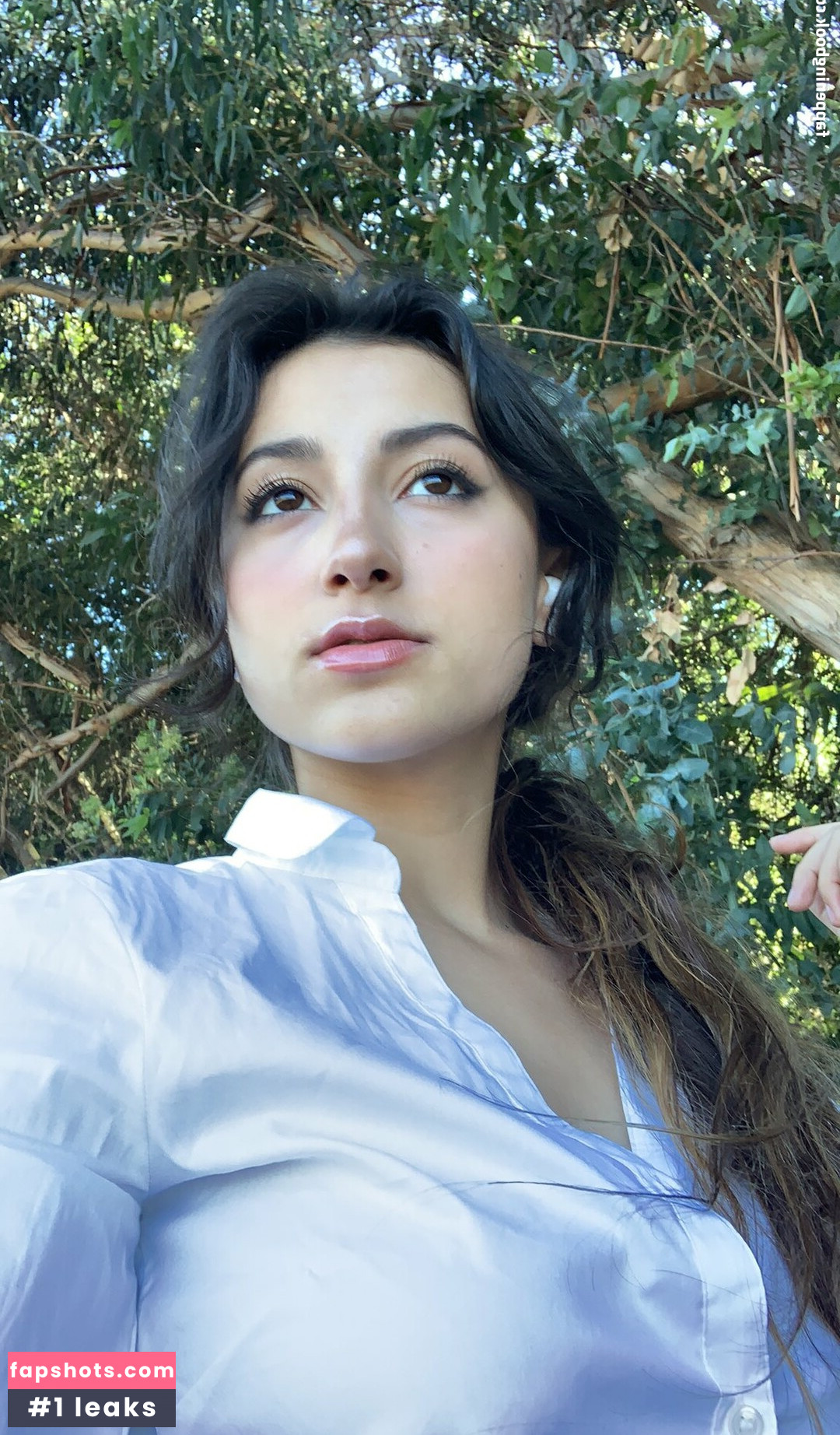 kungfushoe gallery photo #17