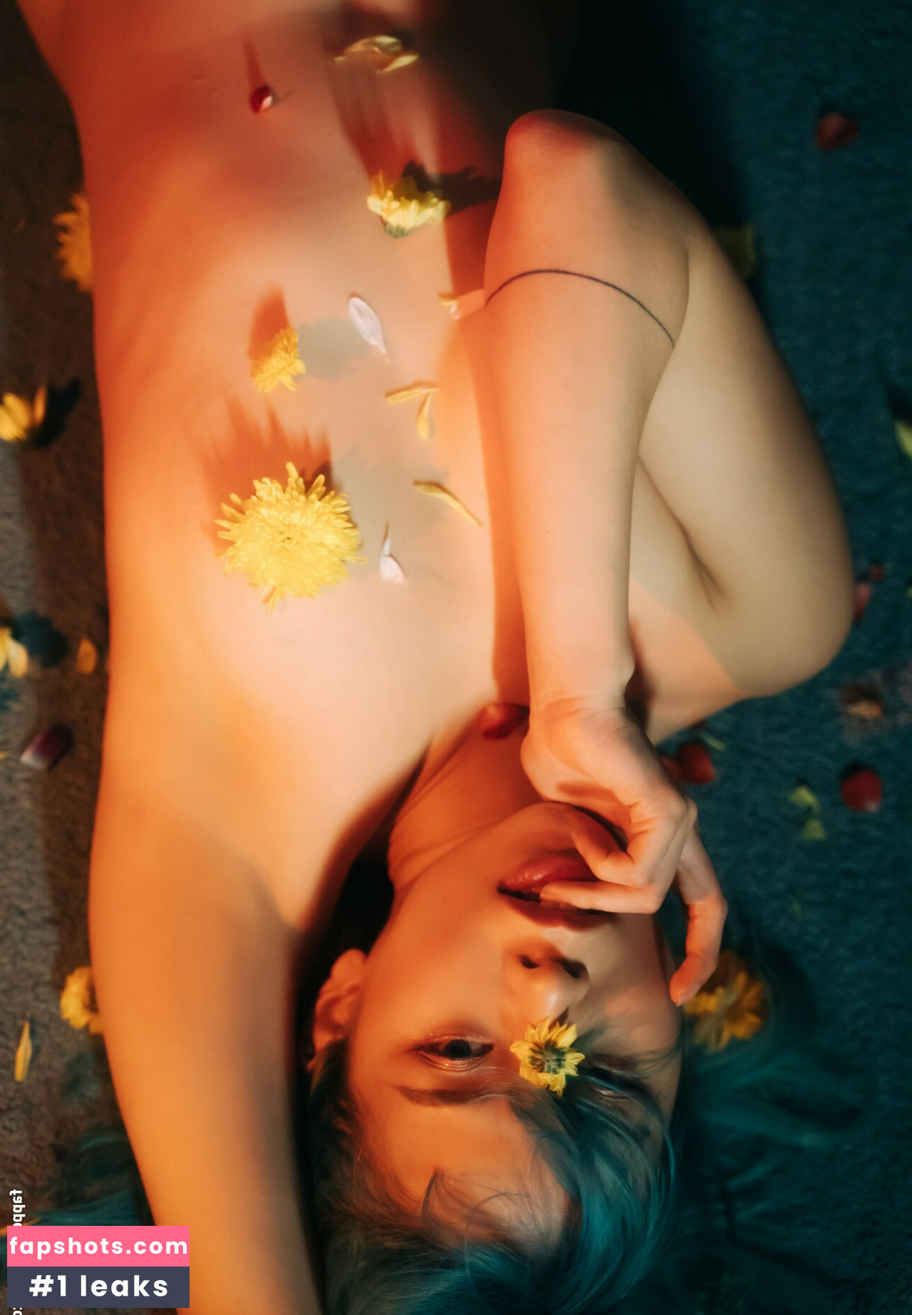 Kuromelo gallery photo #22