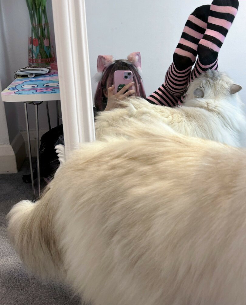 kyaandere-5 Nahé úniky fotek pouze od fanoušků #878 - Fapshots