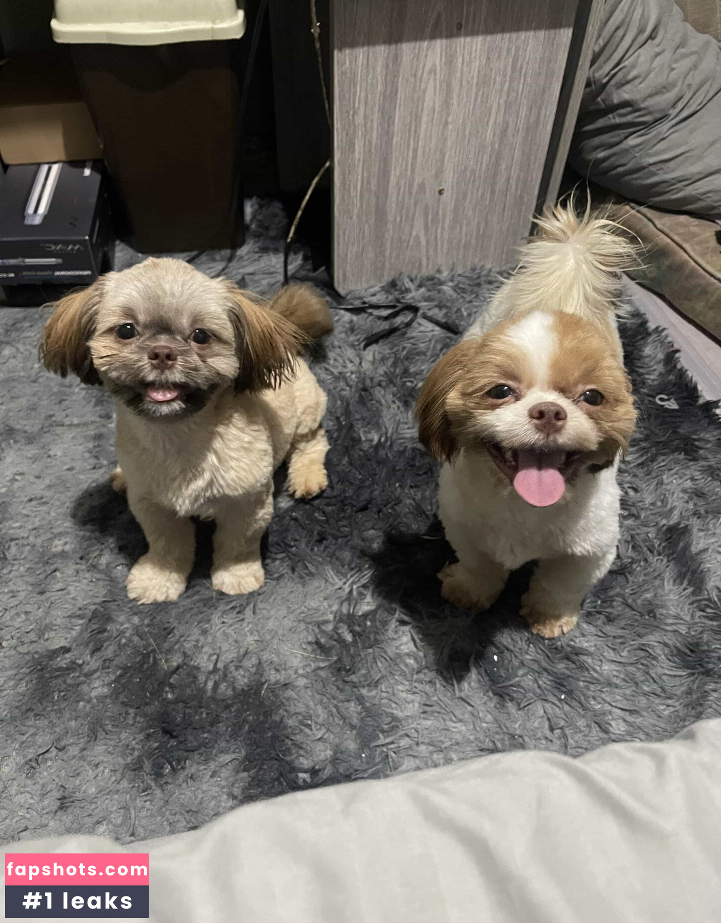 Kyla Yung gallery photo #7