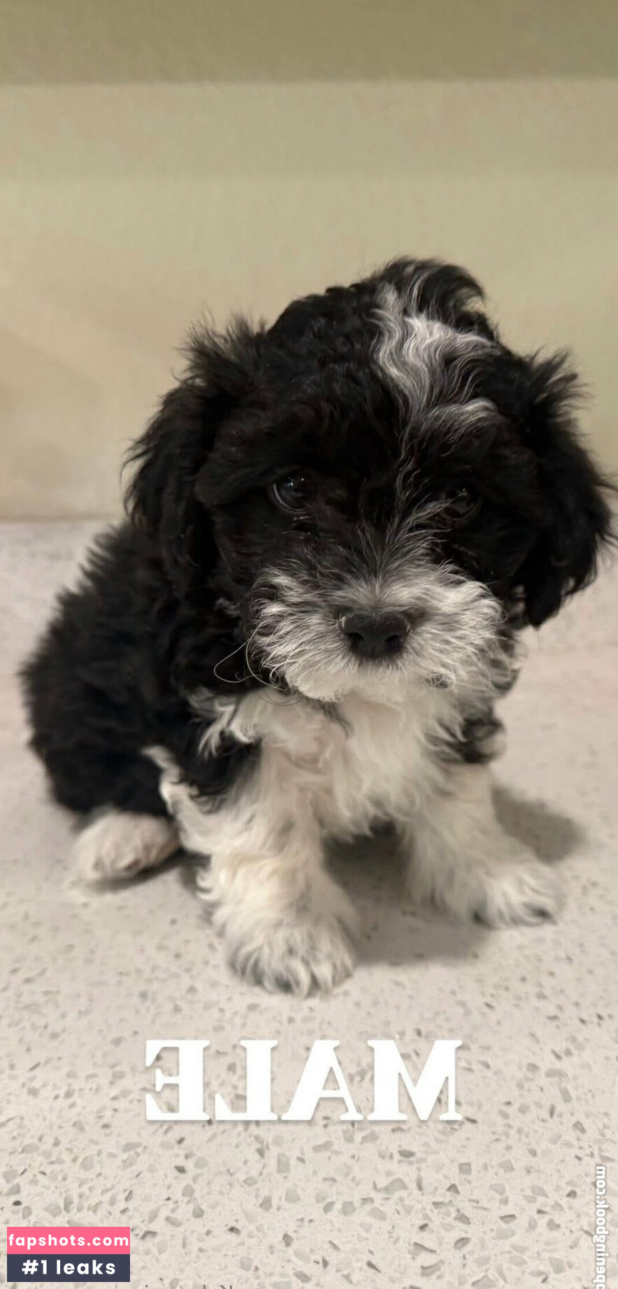 kylerquinnporn Nahé úniky fotek pouze od fanoušků #2 - Fapshots