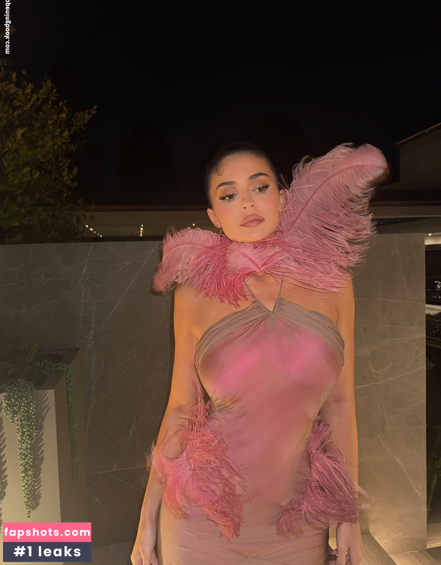 Kylie Jenner gallery photo #13