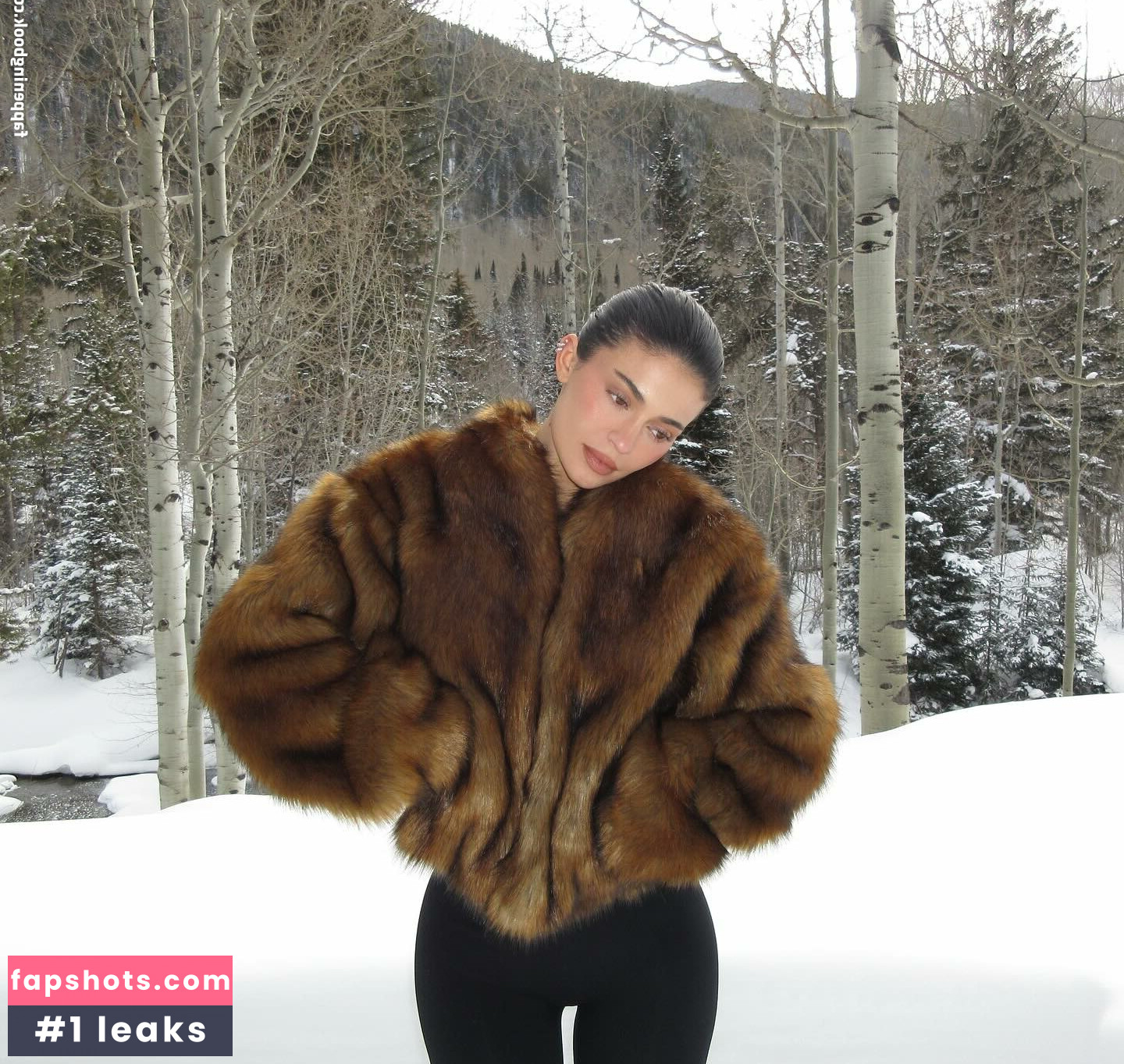 Kylie Jenner gallery photo #532