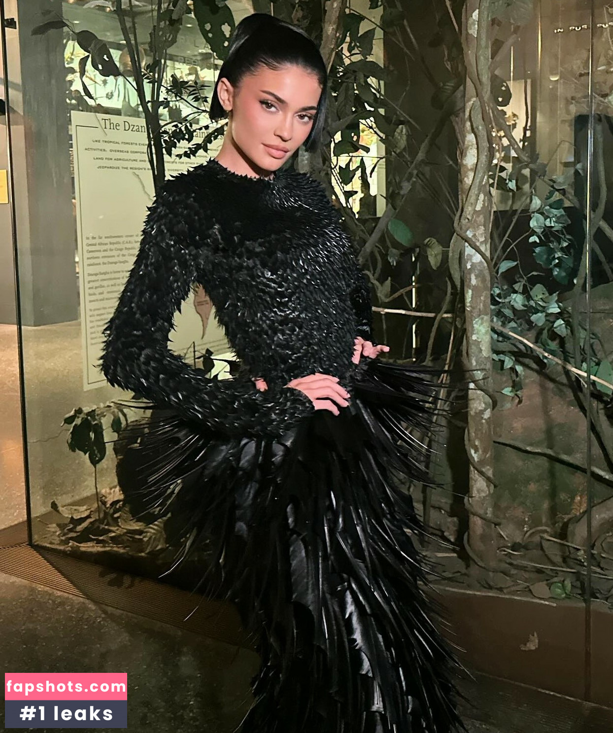 Kylie Jenner gallery photo #804