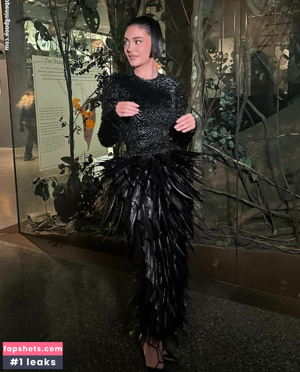 Kylie Jenner gallery photo #811