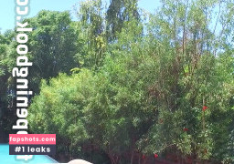 Kylie Quinn Filtración Desnuda OnlyFans Foto #86 - Fapshots