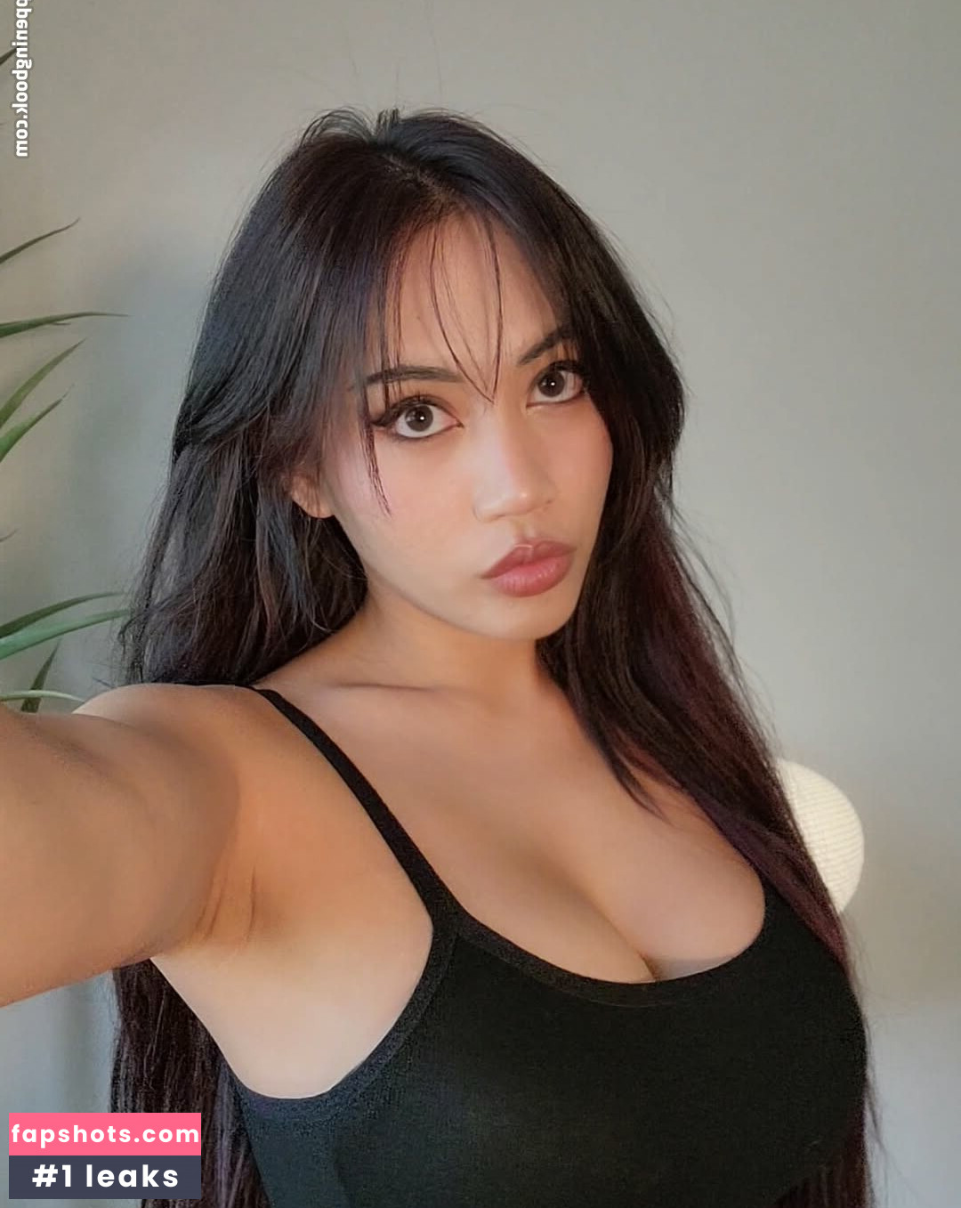 Kyootbot gallery photo #3